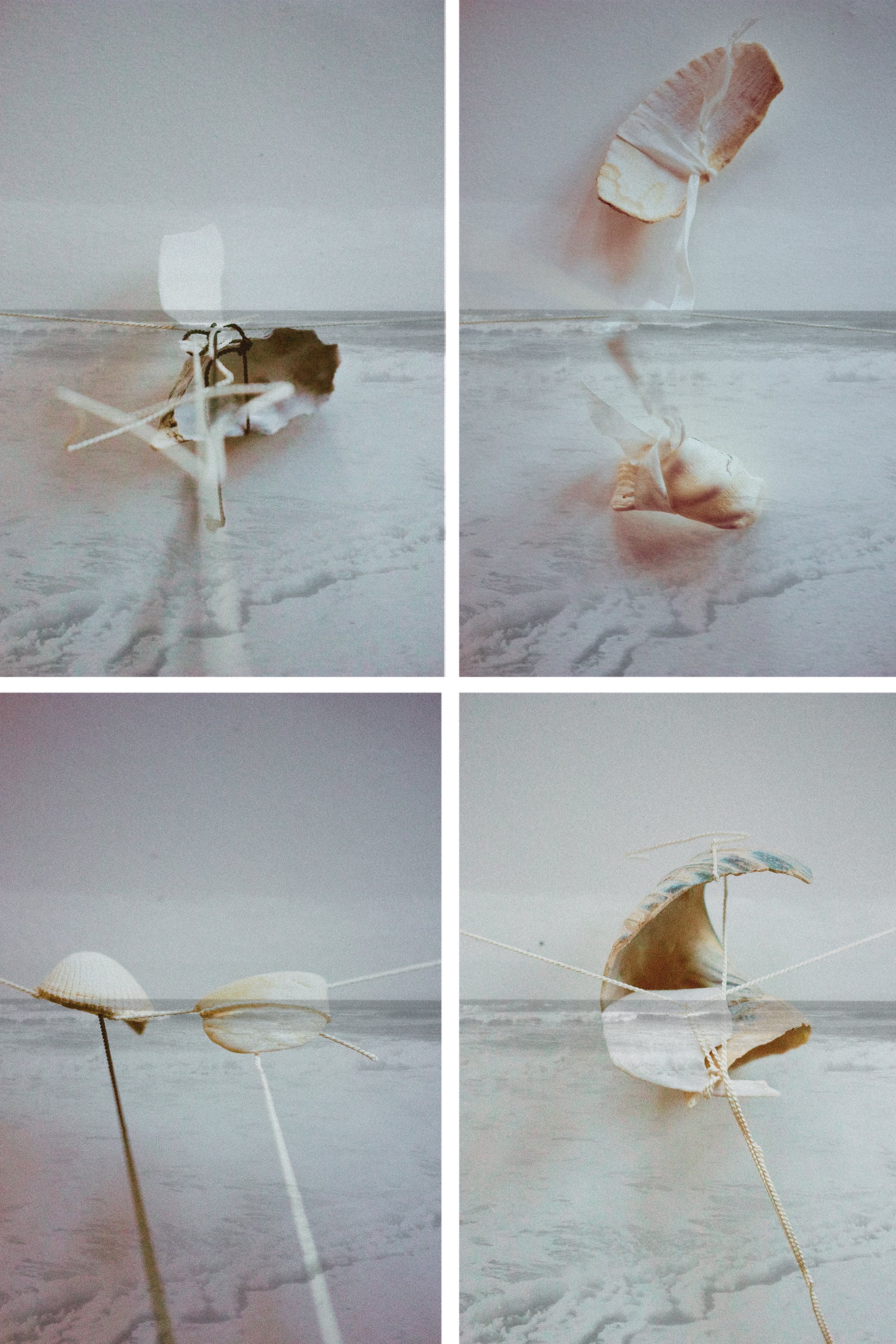 scenes from broken shell dance