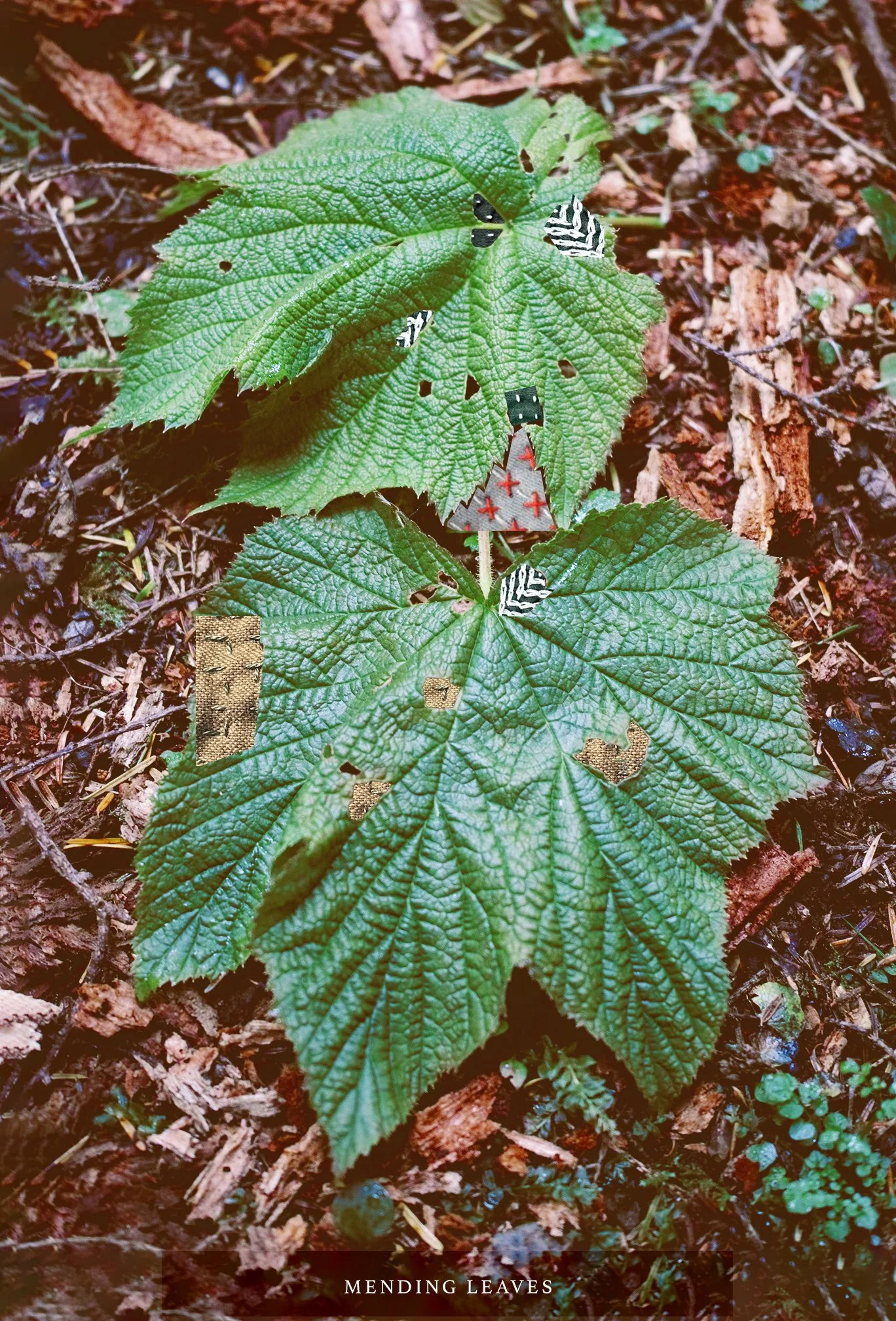 mendingleaves.jpg