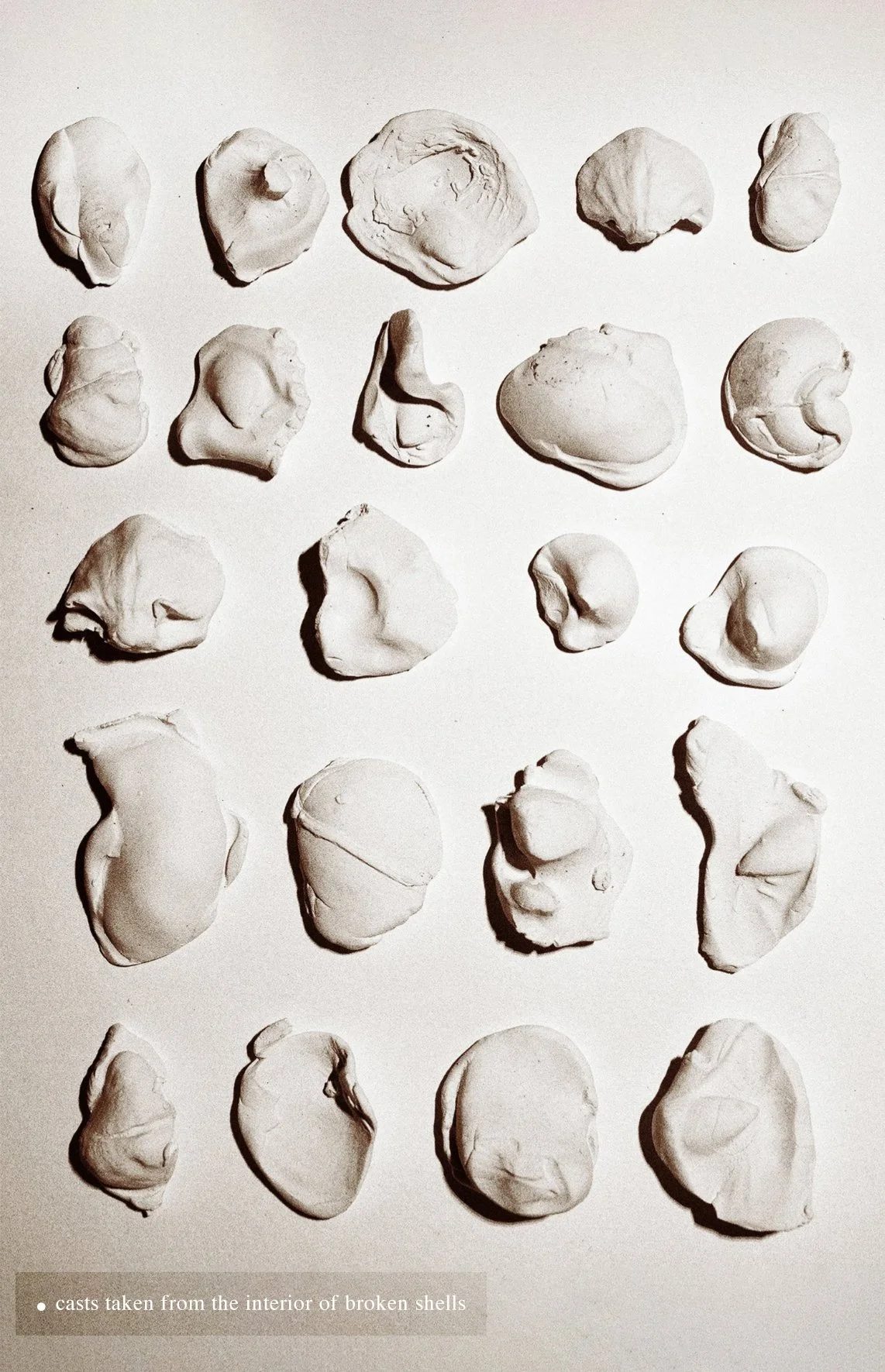 casts.jpg