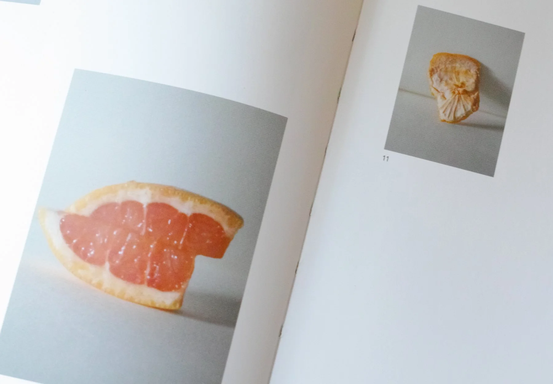 book_11.jpg