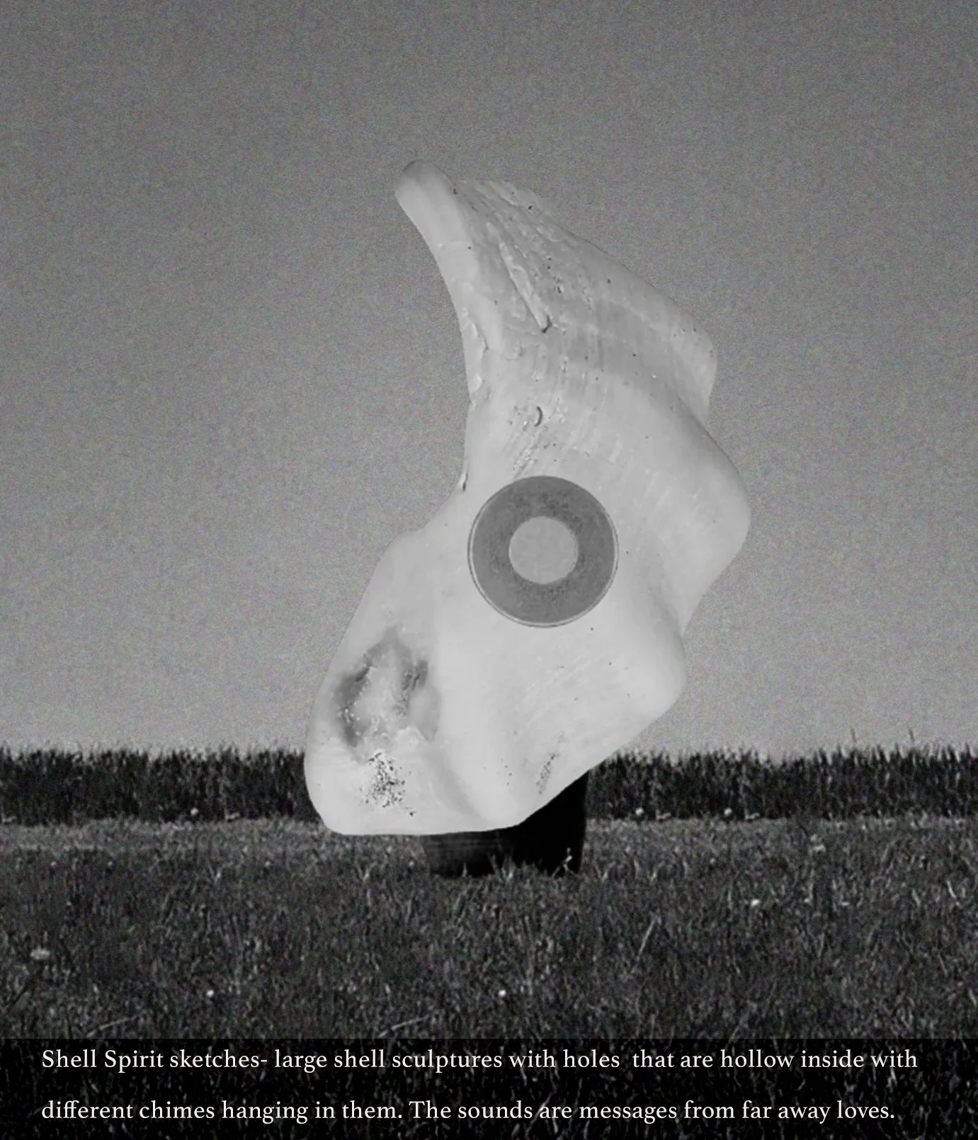 shellspirits.jpg