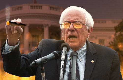 Bernin_Bernie.gif