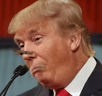 Trump-Shit.gif