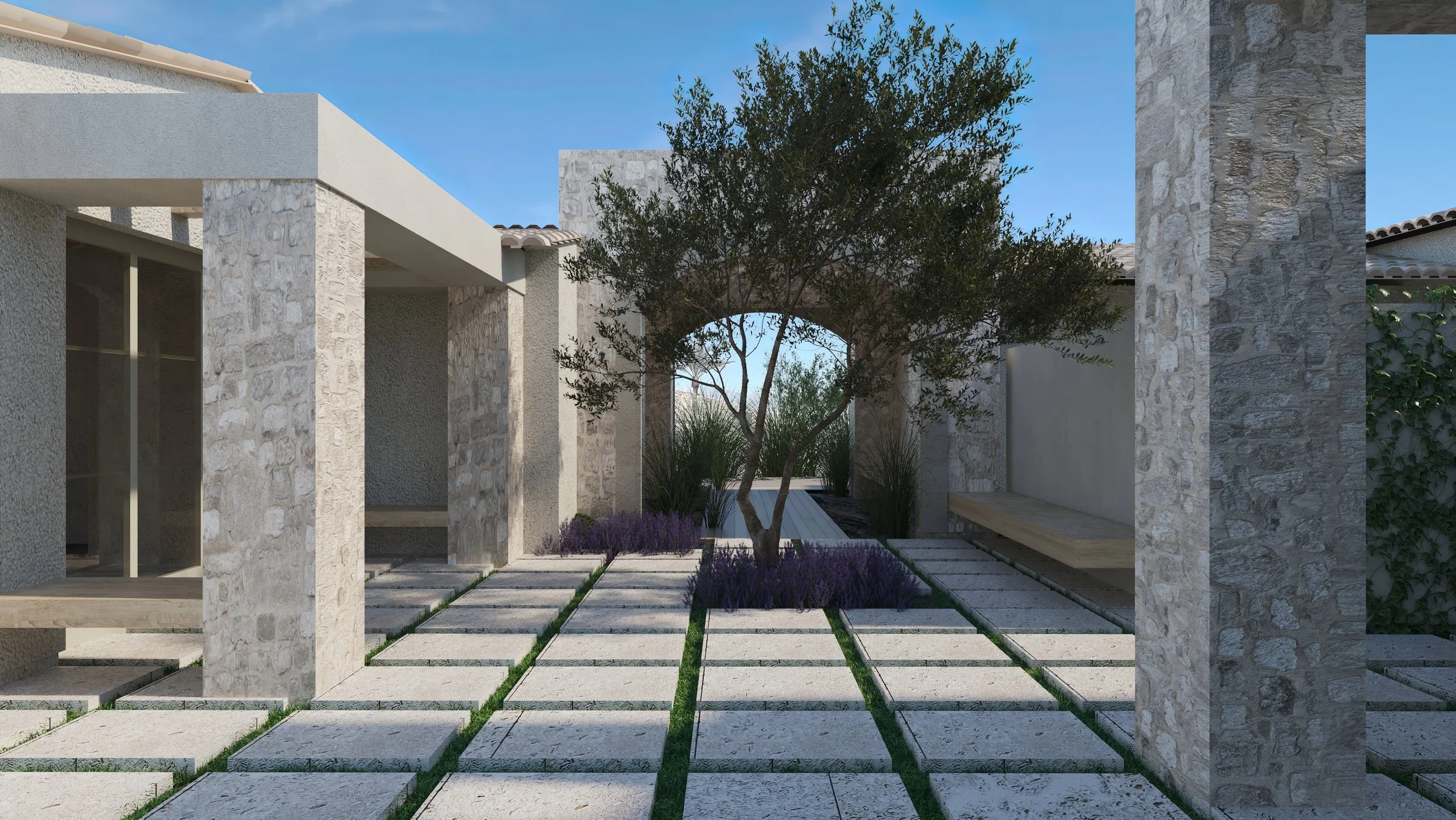 Cam 8 ZImmerman-High.jpeg