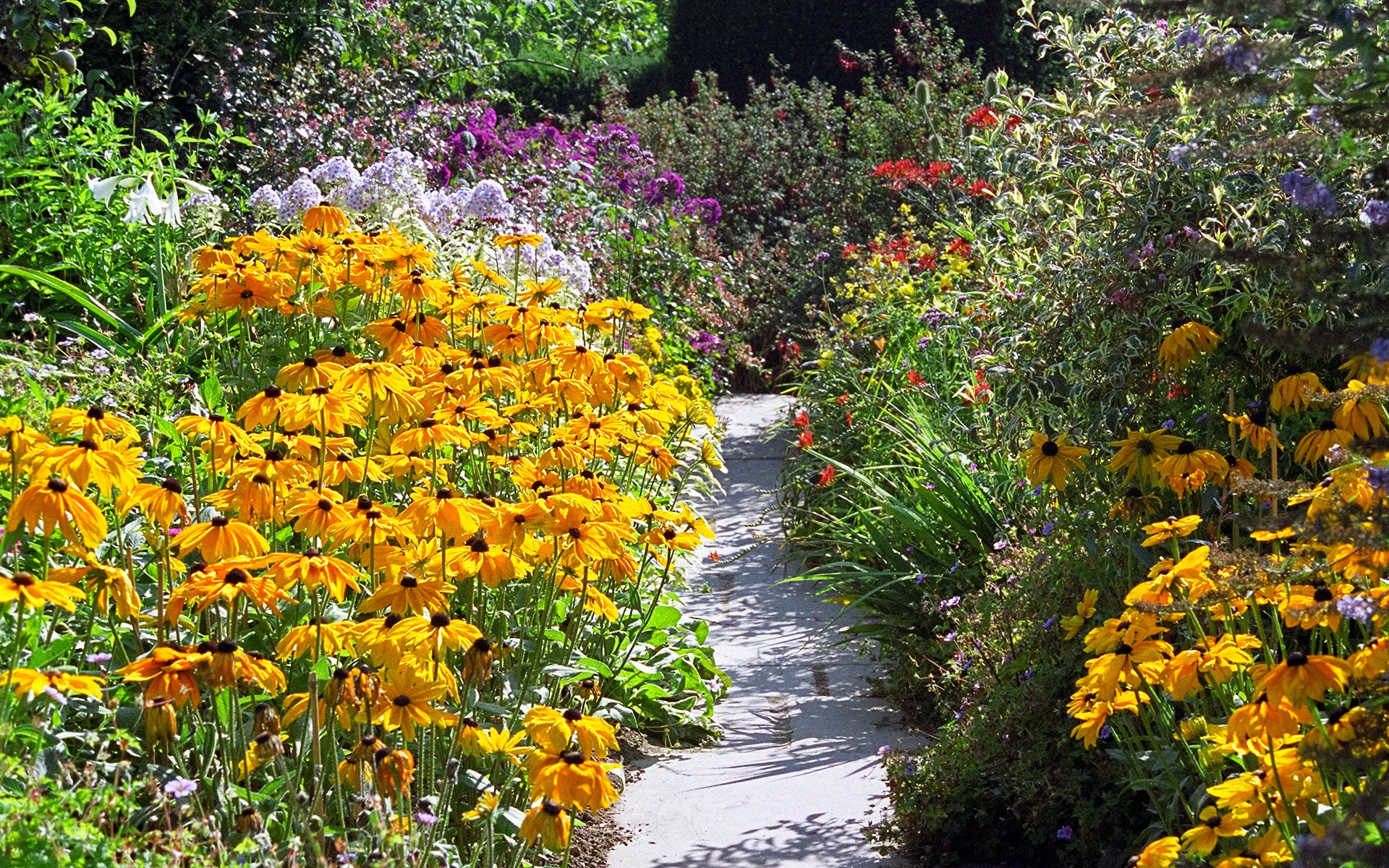 MAMGA, WIMGA, and UW Extension are separate organizations that function together to benefit Master Gardeners in south-central Wisconsin. Photo: UKGardenPhotos, Creative Commons.