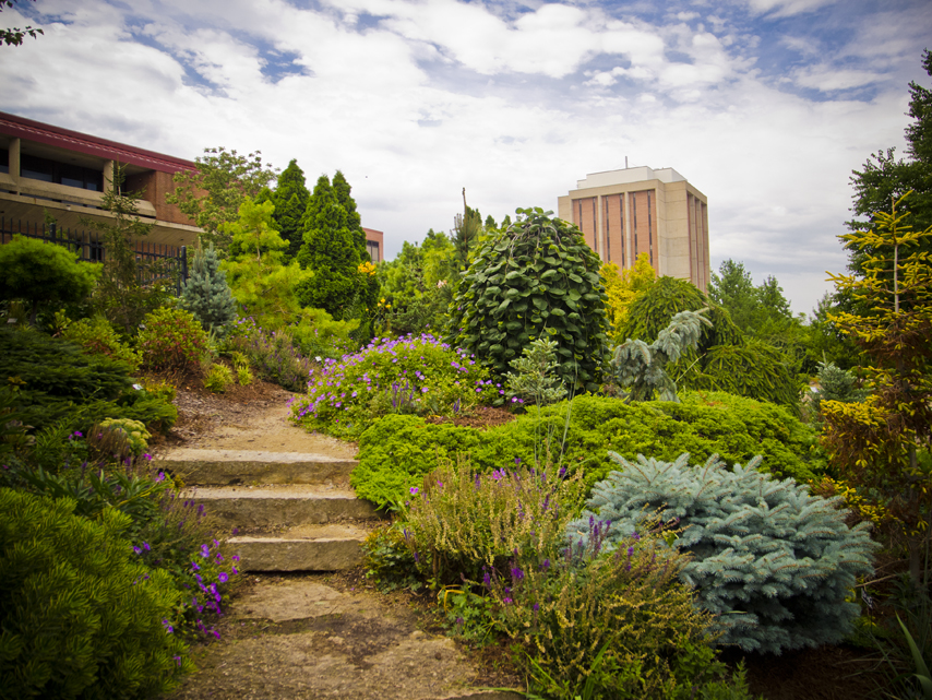 Allen Centennial Gardens by Kenneth Casper