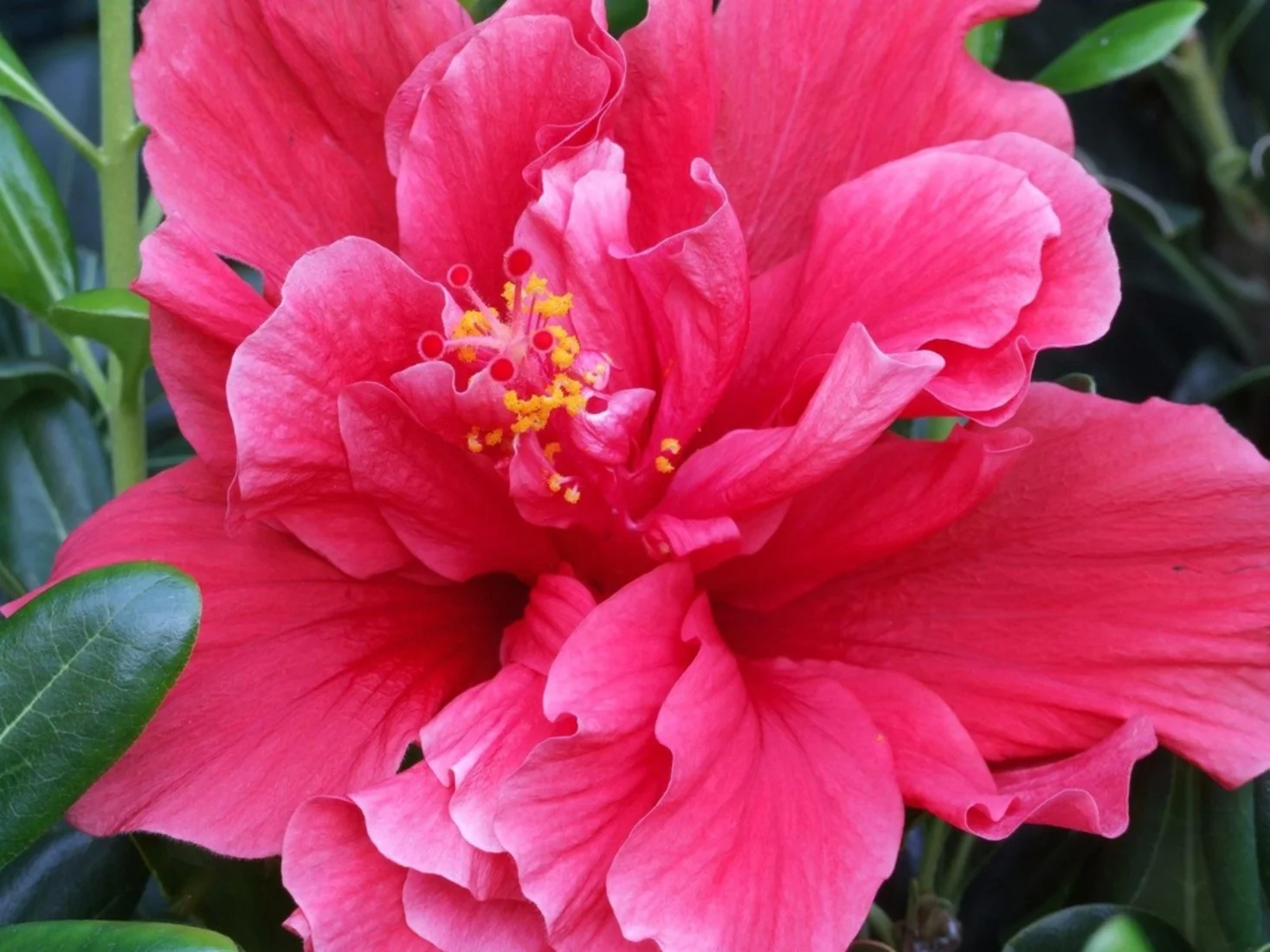 MMHI Plant and Craft Sale