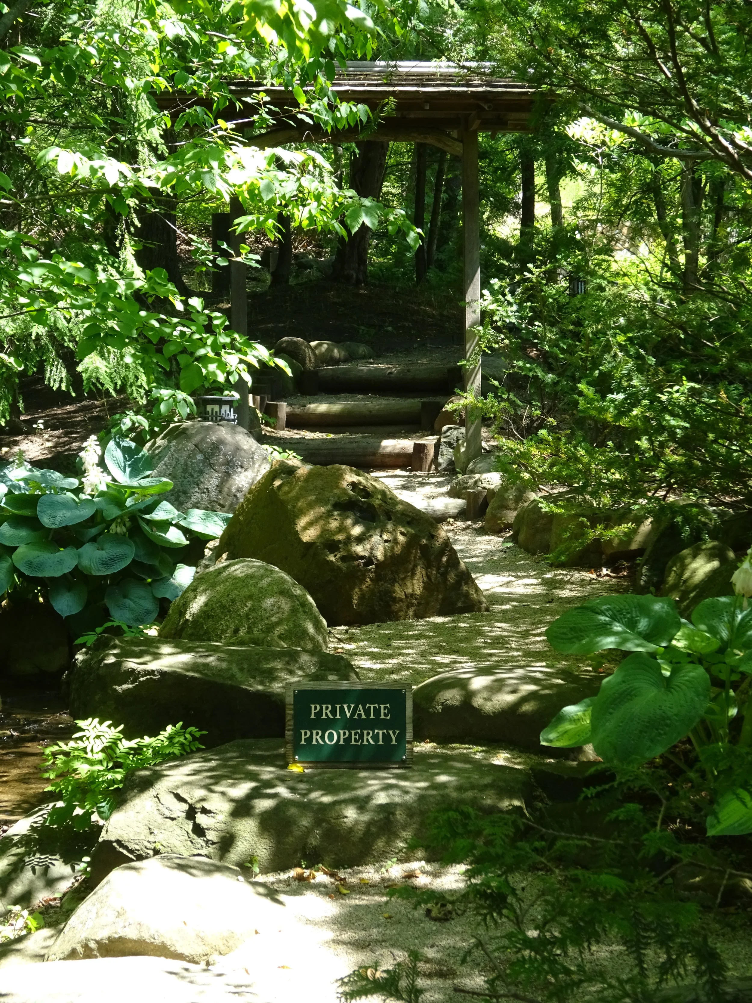 Current Urban Forestry Issues in Madison