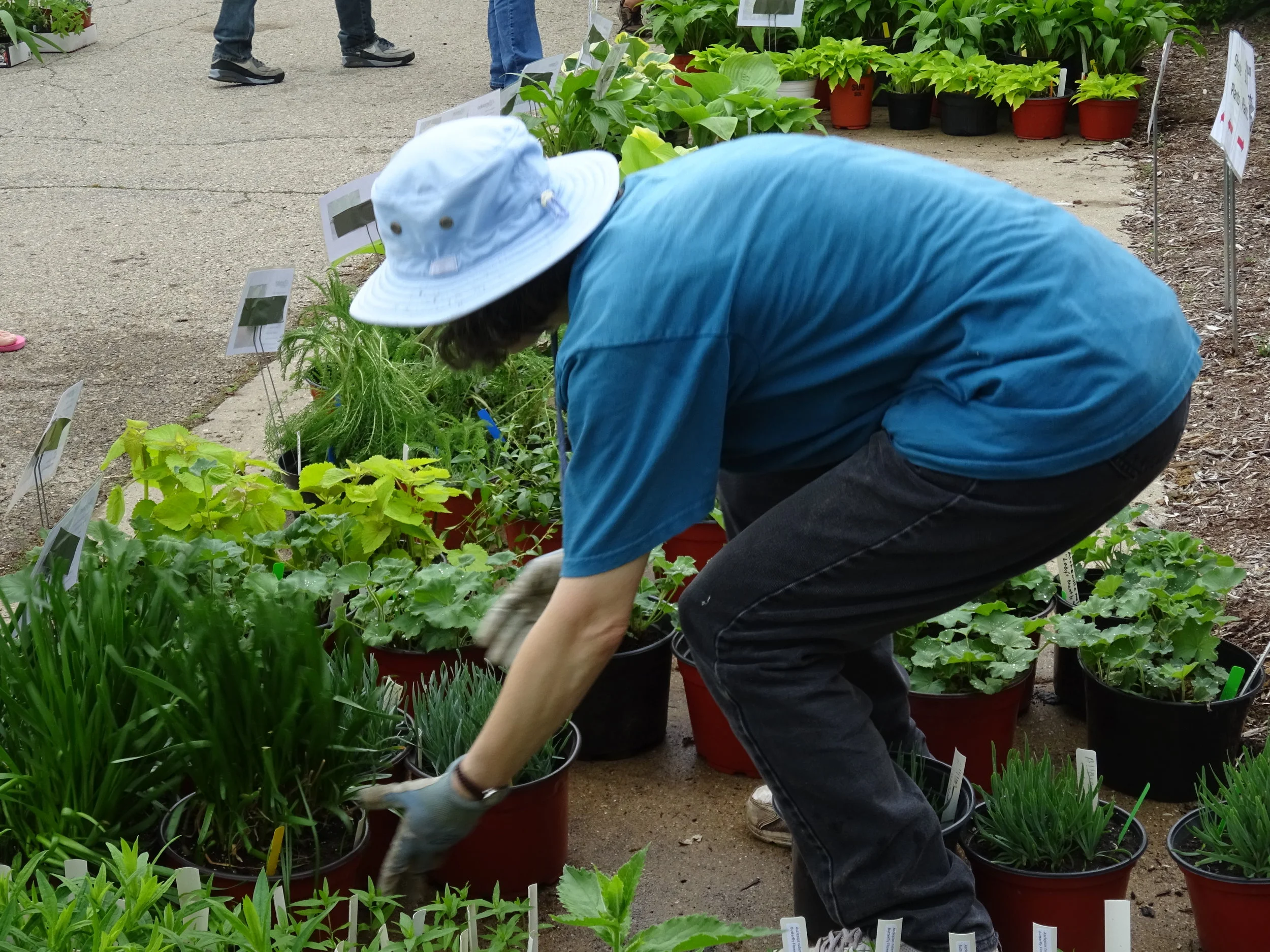 Plant with the Pros
