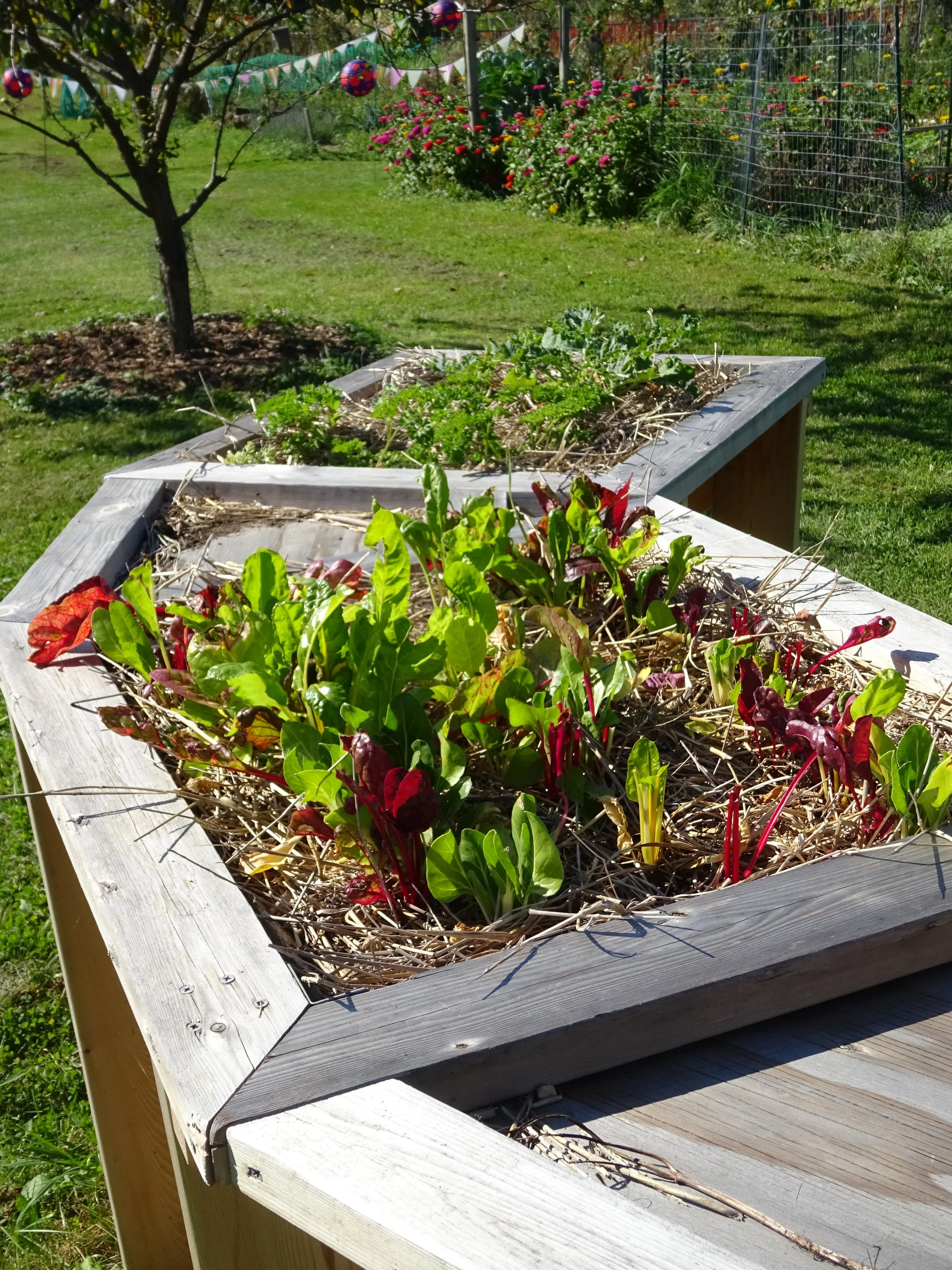 Plant Sale to Benefit Habitat for Humanity