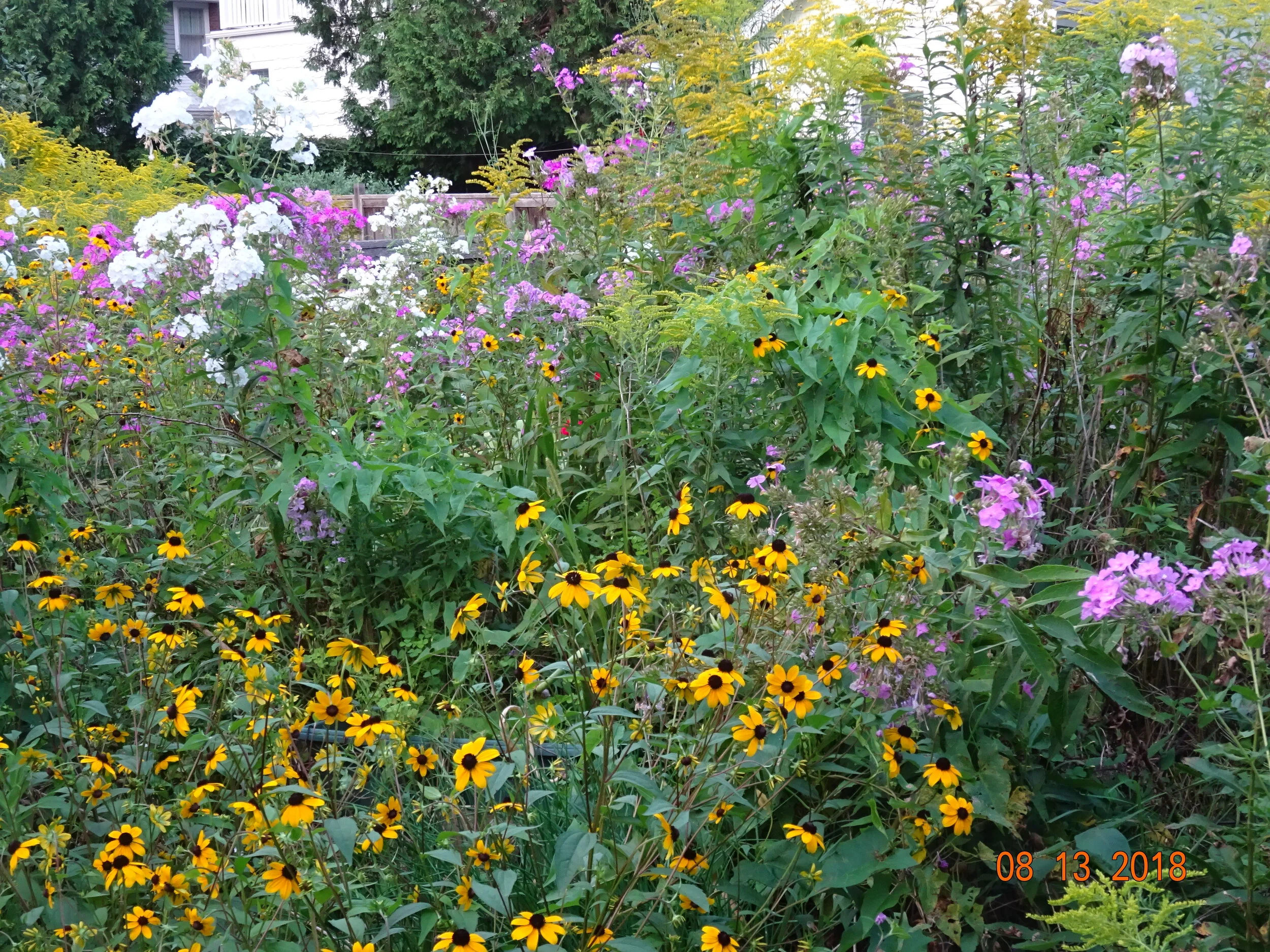 Pollinator Gardens:  Plant Selection and Garden Care