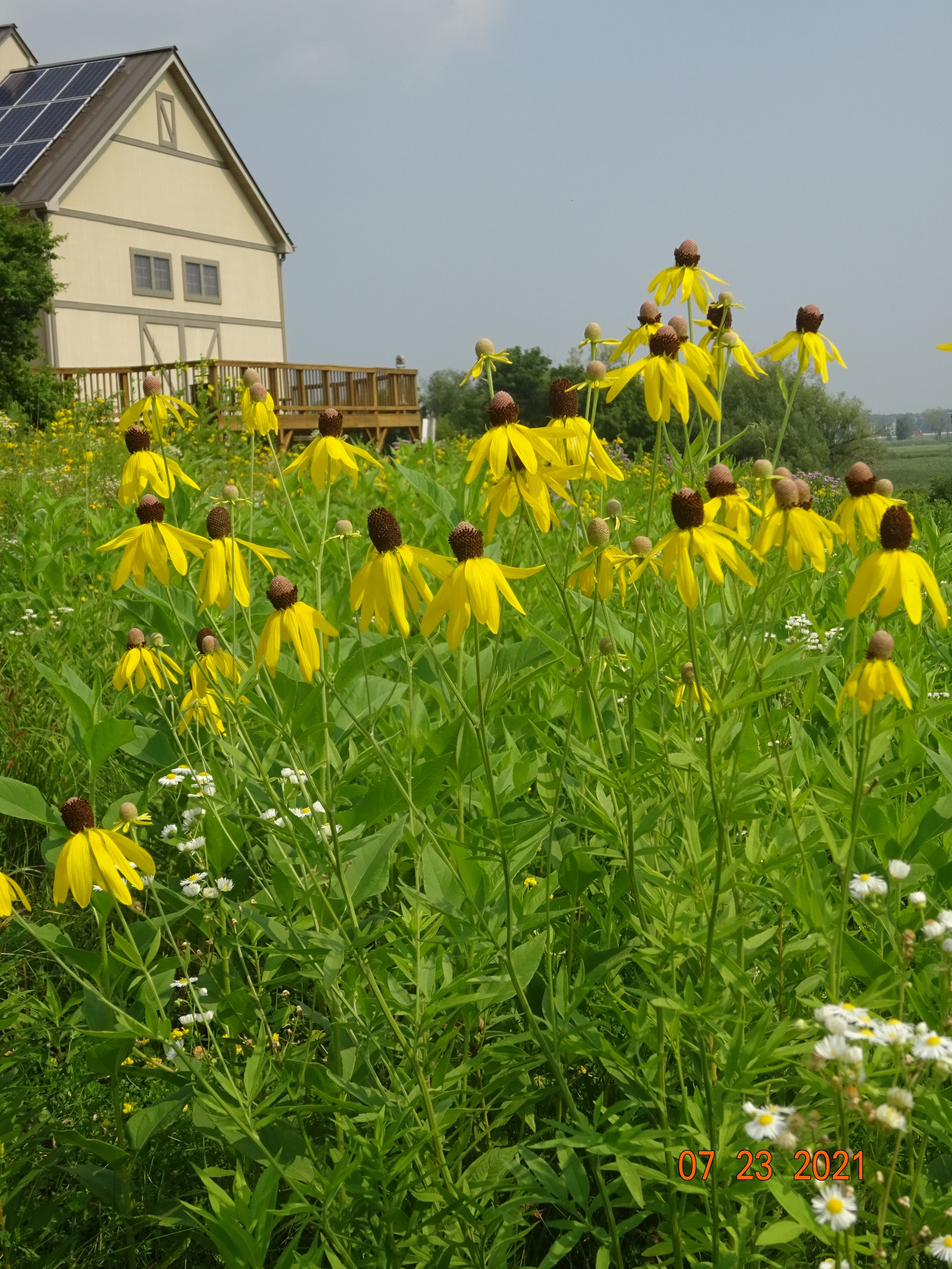 Lussier Prairie Workday