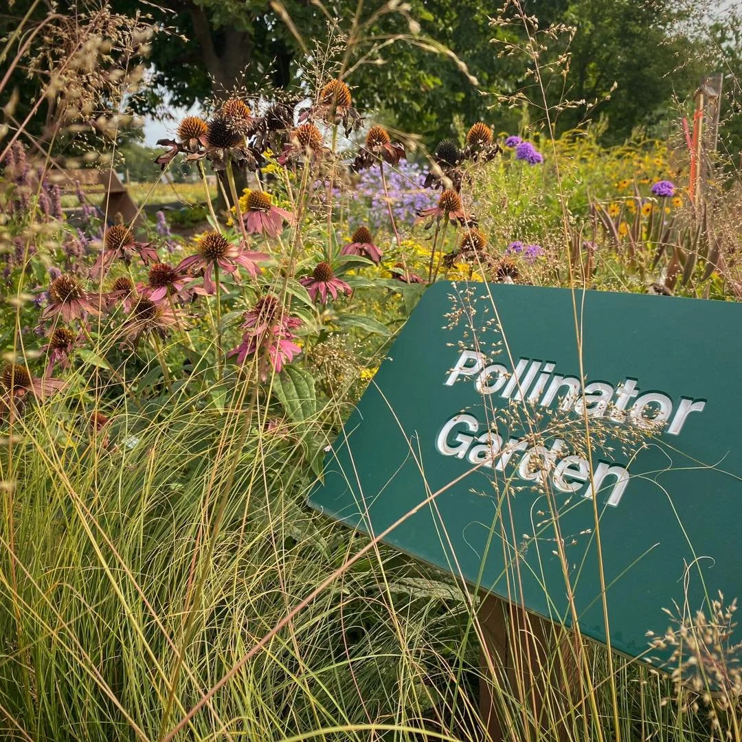 Meet &amp; Greet New Master Gardeners/Teaching Garden Tour