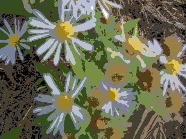 Annual Picnic and Teaching Garden Tour