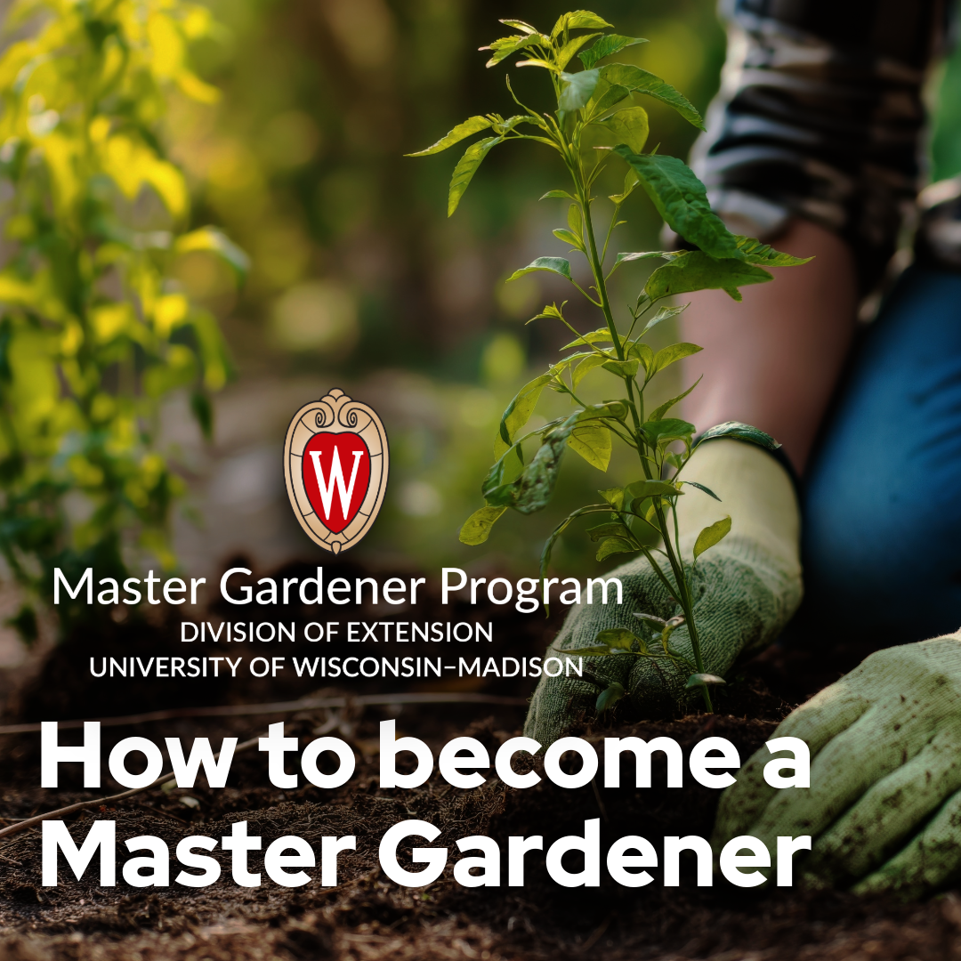 How to Become a Master Gardener.png