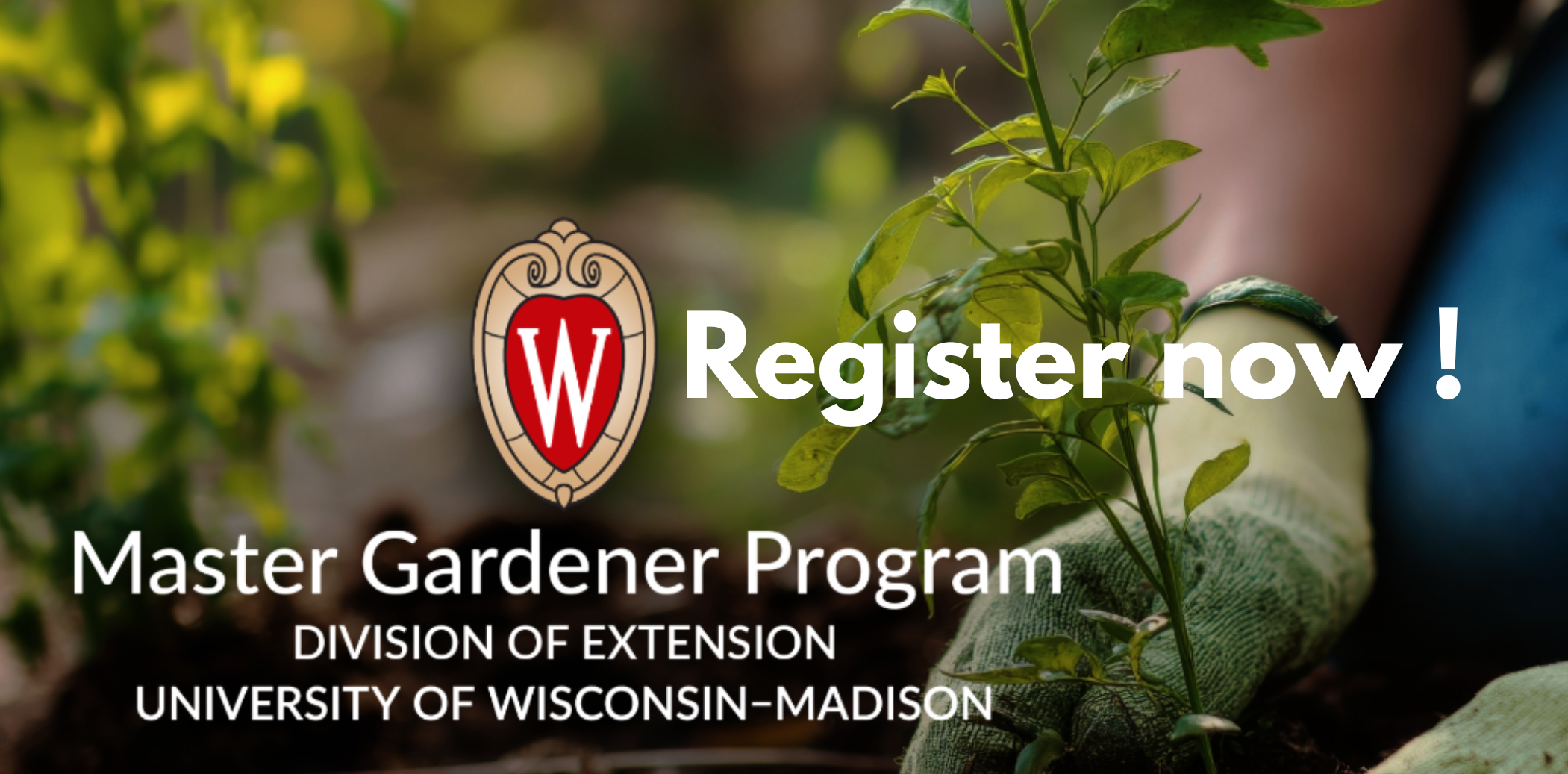 Foundations In Gardening Image for Scrolling Banner (1).png