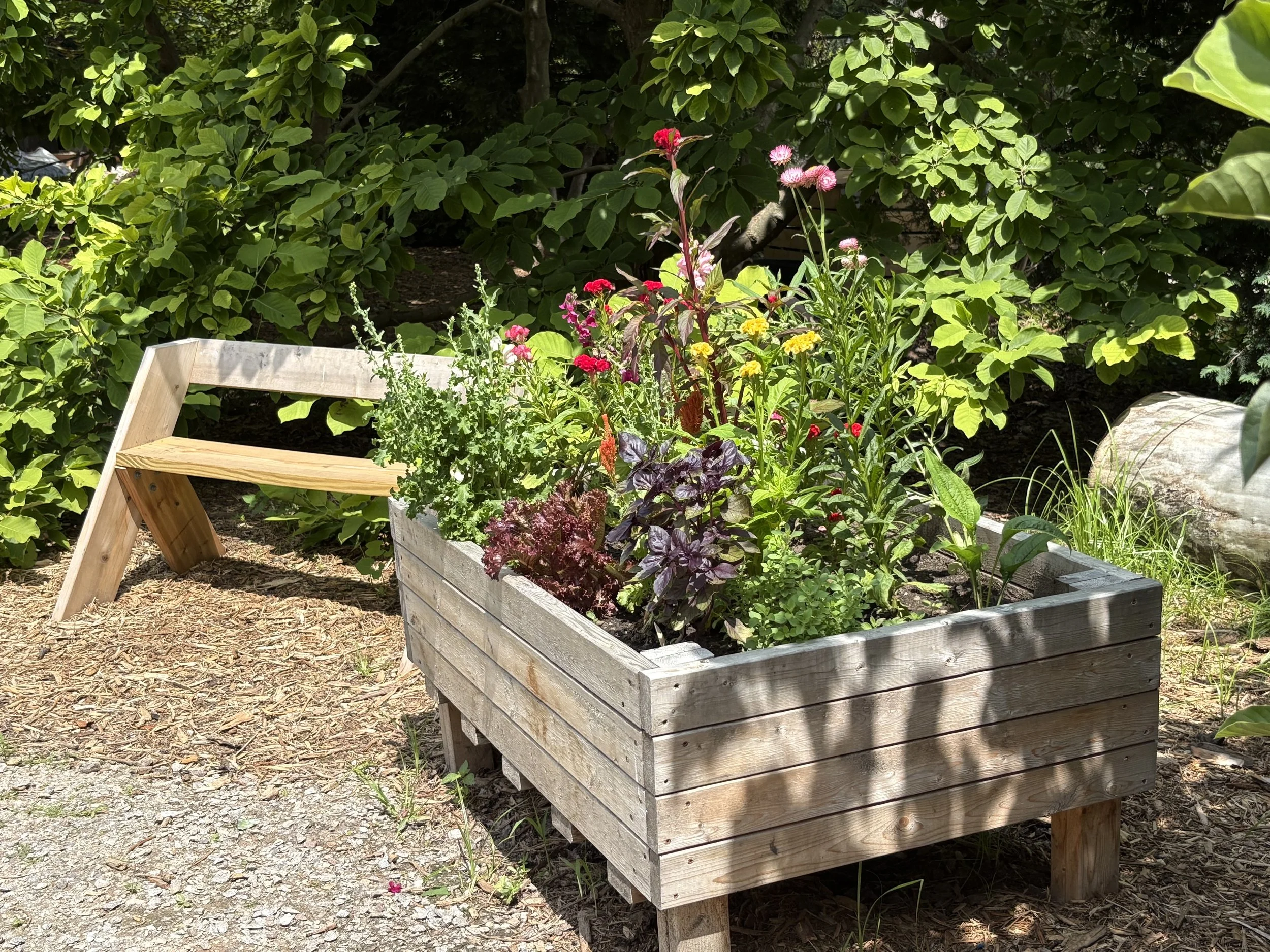 Planter with colorful plants alongside an Aldo Leopold bench