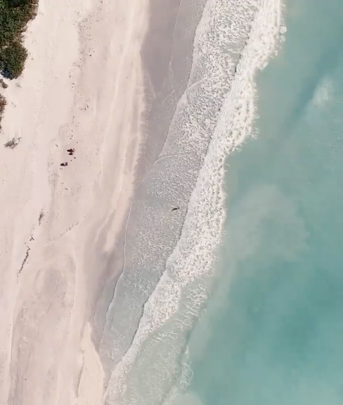 Screenshot 2026-03-17 at 9.08.07 PM.png