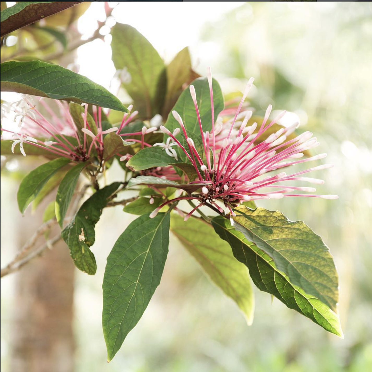 Screenshot 2026-03-17 at 9.10.29 PM.png