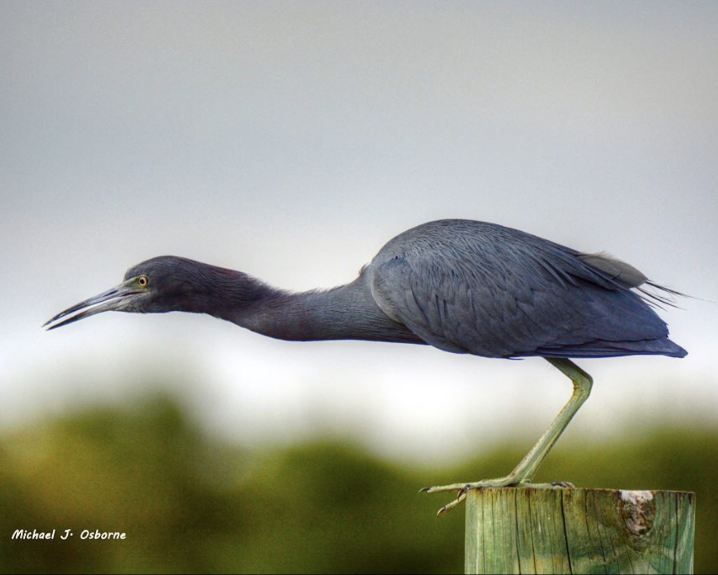 Screenshot 2026-03-17 at 9.09.45 PM.png