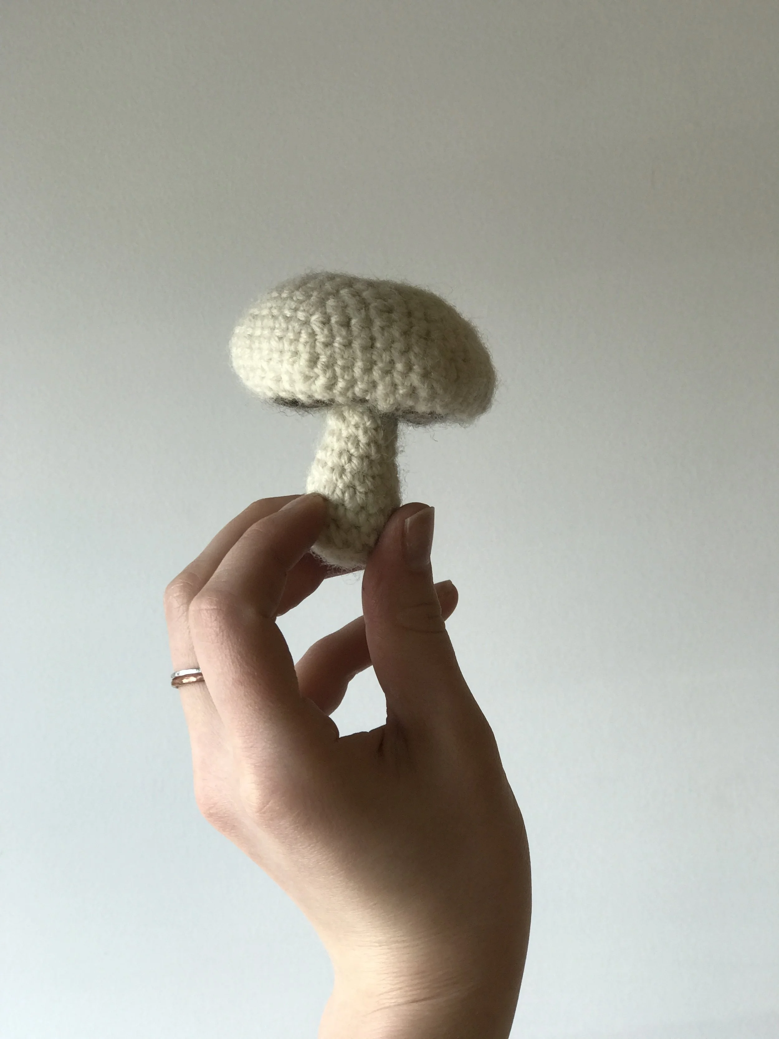 "Provisions (Button Mushroom)"