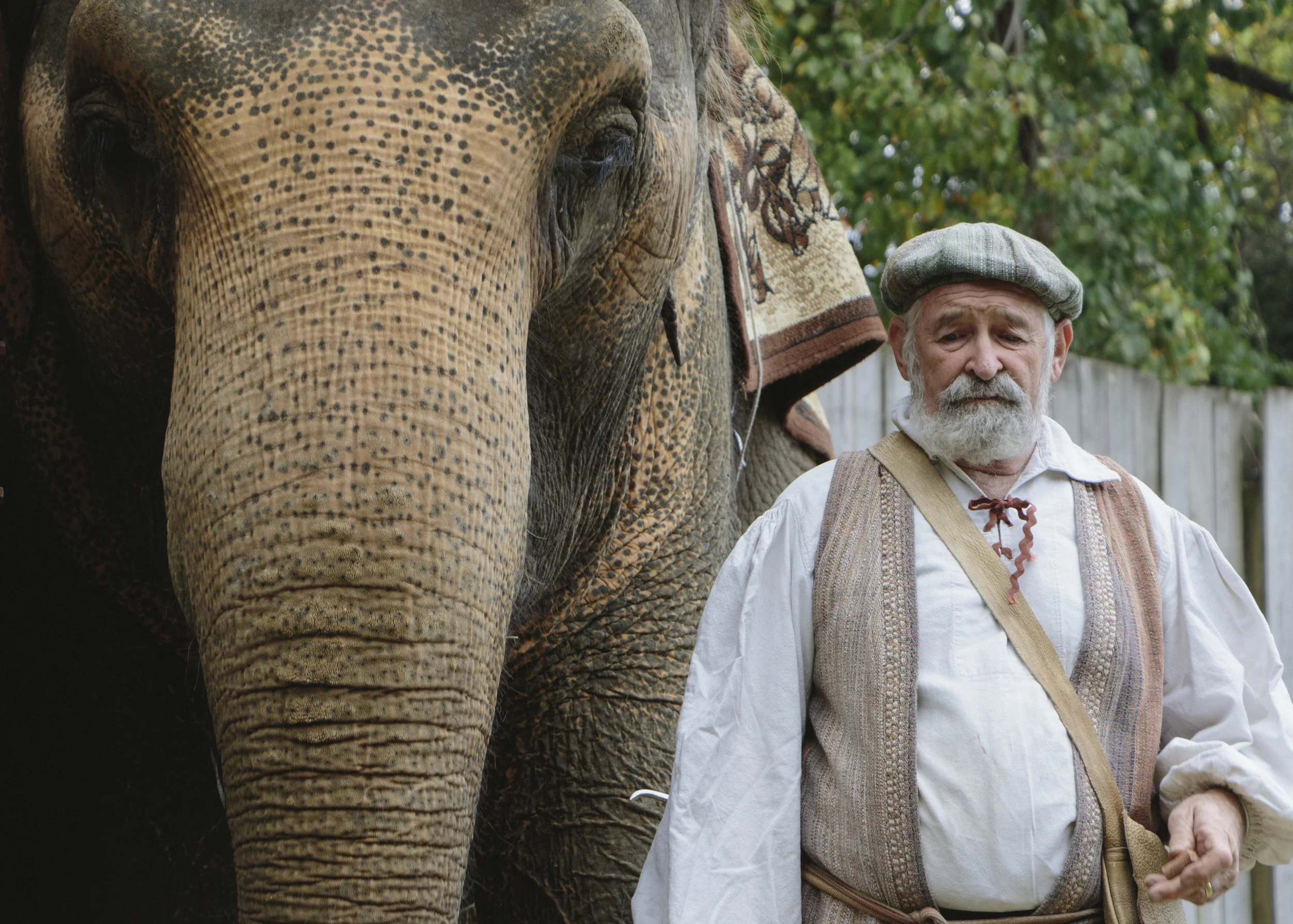 Man and Elephant