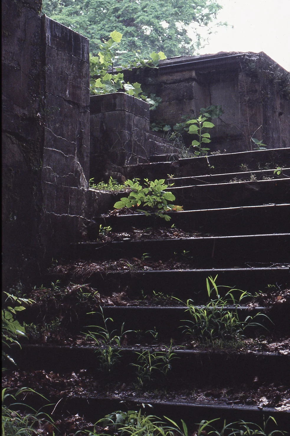 Fort Washington