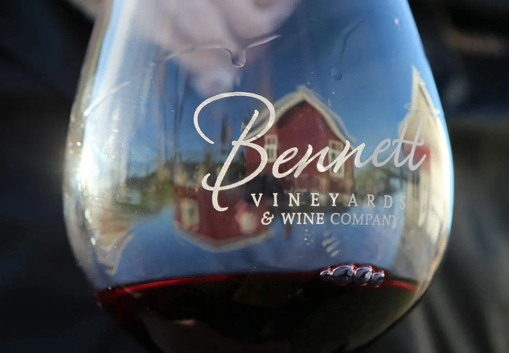 bennett-vineyards-glass-reflection.jpeg