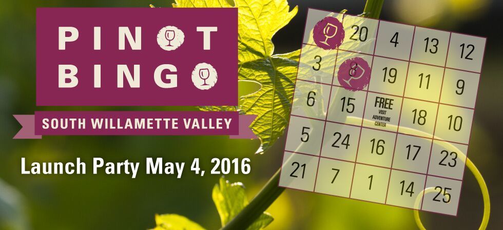 Pinot Bingo Launch Party