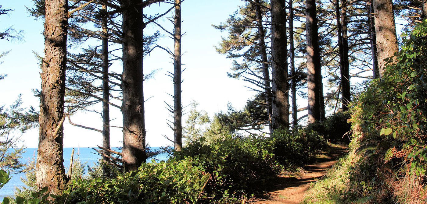 coast-trail.jpeg