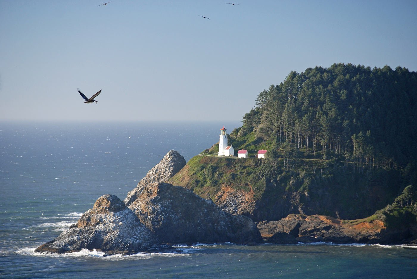 heceta-head-lighthouse.jpeg