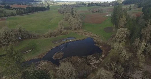 Bear Creek Project Tour &amp; BBQ Bash Hosted by Long Tom Watershed Council