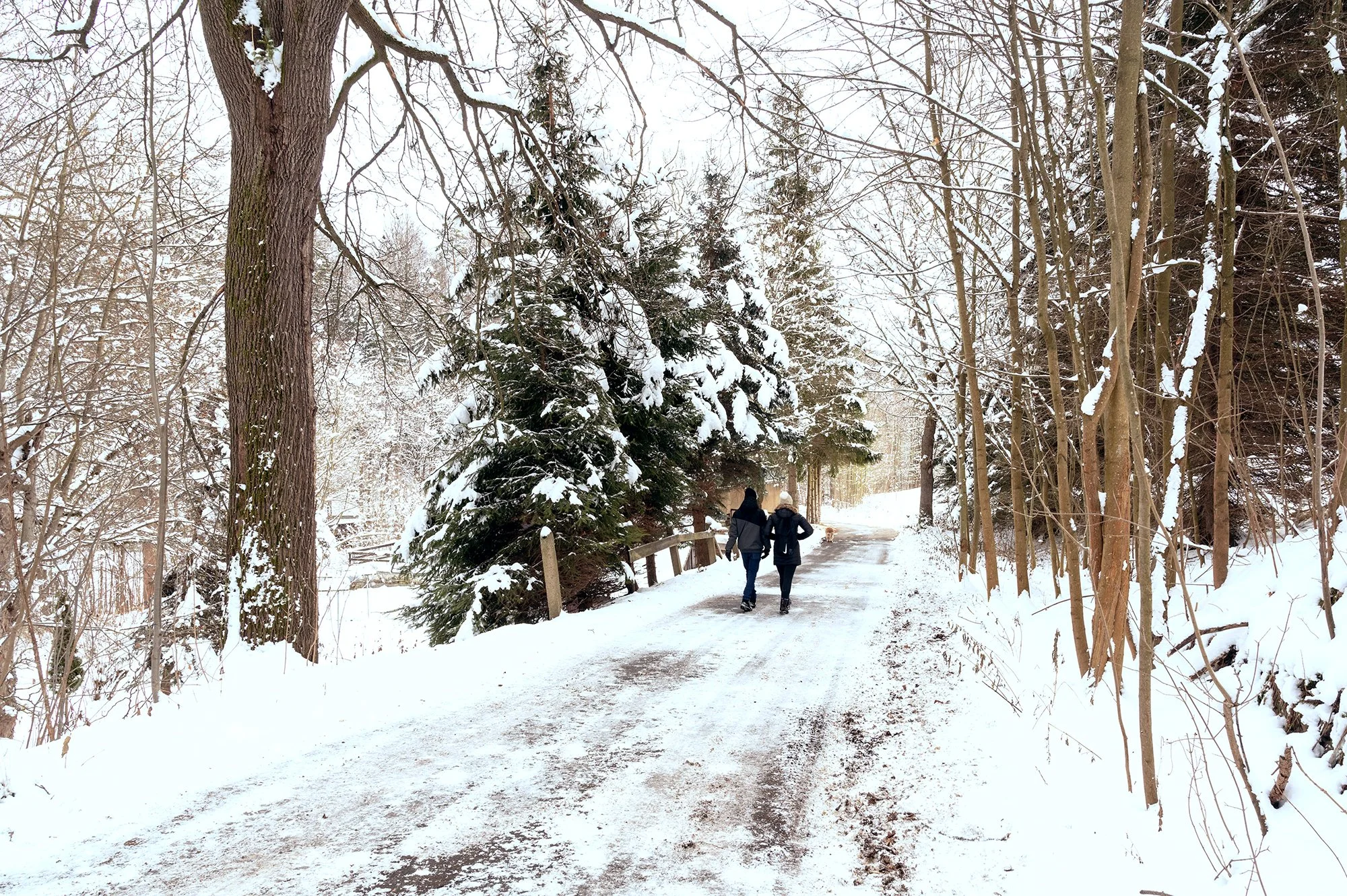 Winter, Nature, and Why Getting Outside Still Matters