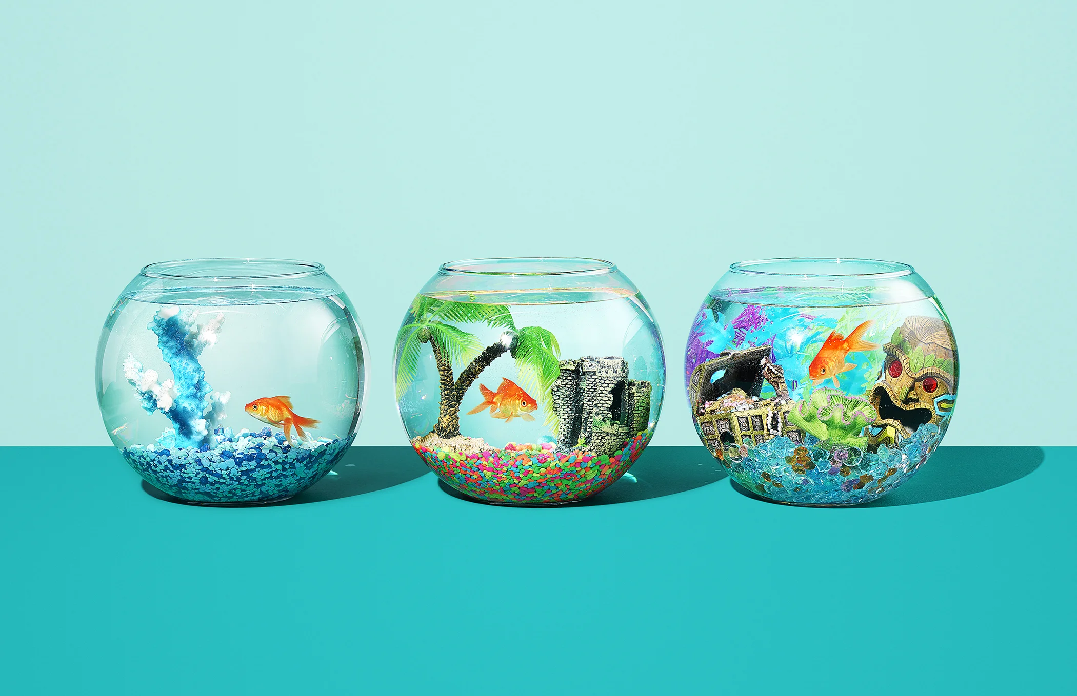 1819_HBR_Goldfish_Final_Web.jpg