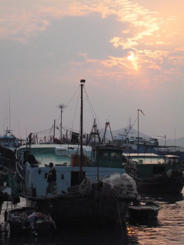 IMG_1539.jpg
