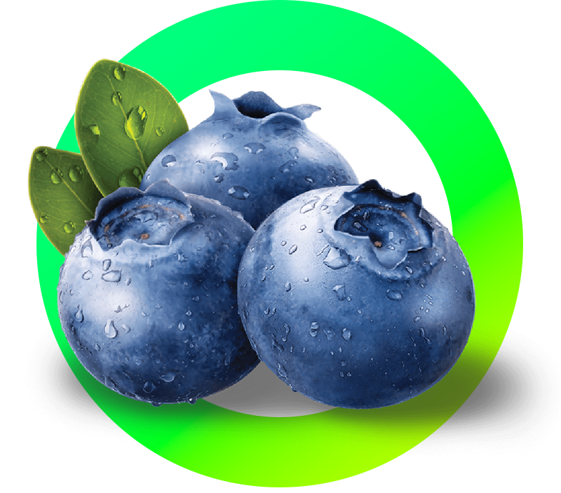 blueberry-circle-green-min.png