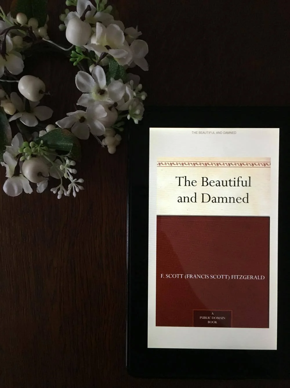 the beatiful and damned.jpg