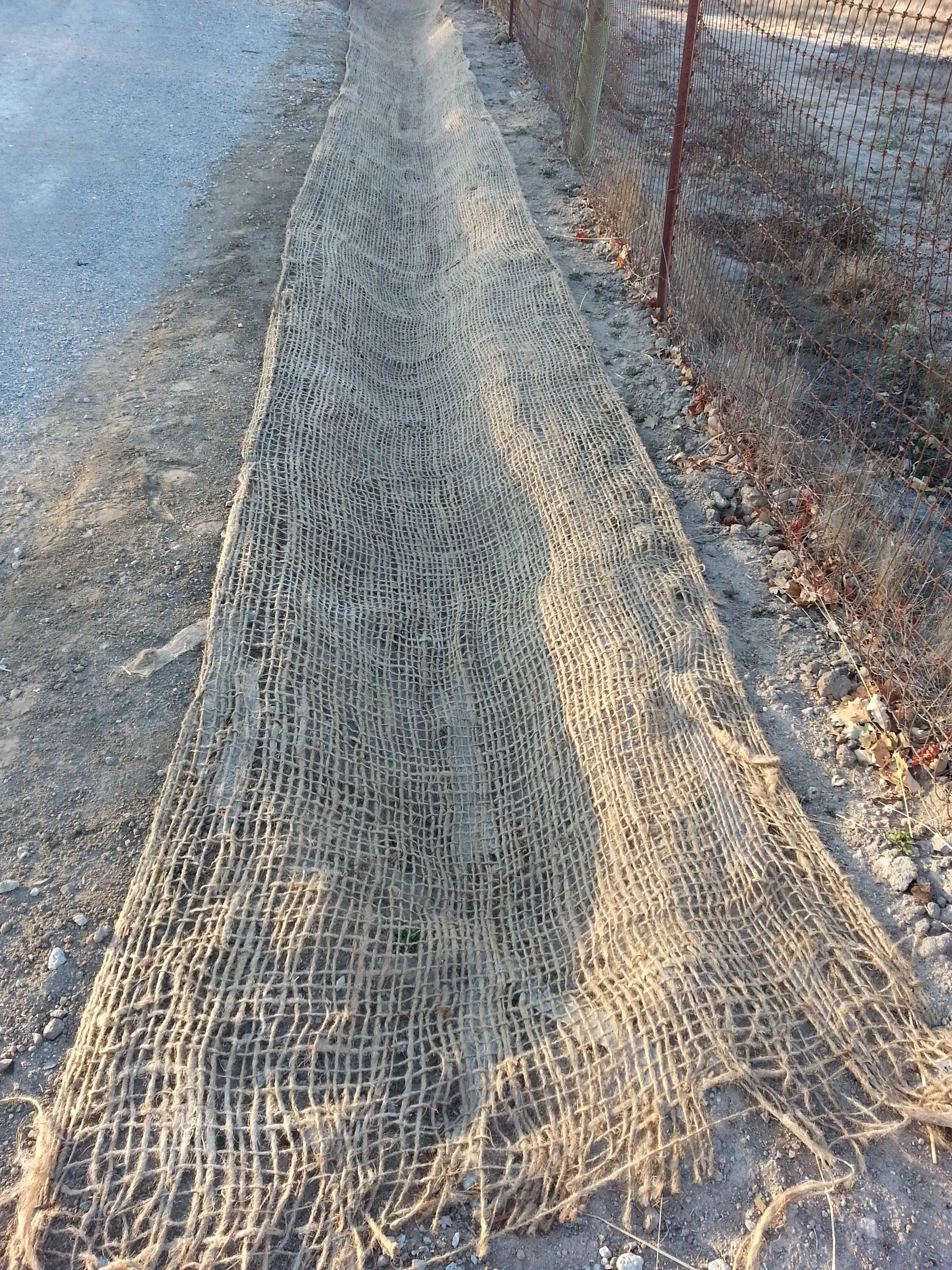 erosion control swale (2).jpg