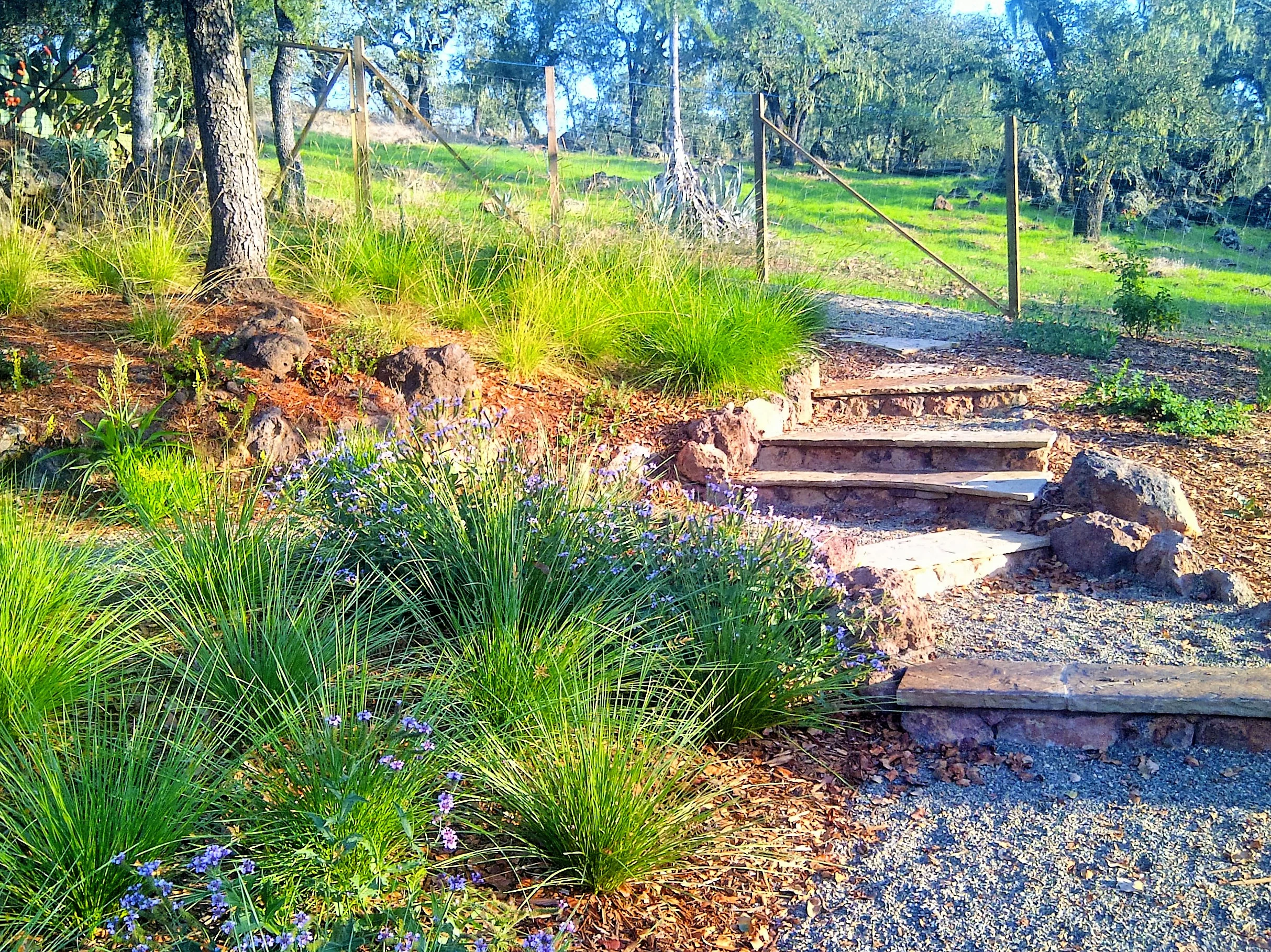 gravel pathway stone steps reyes landscape construction.jpg