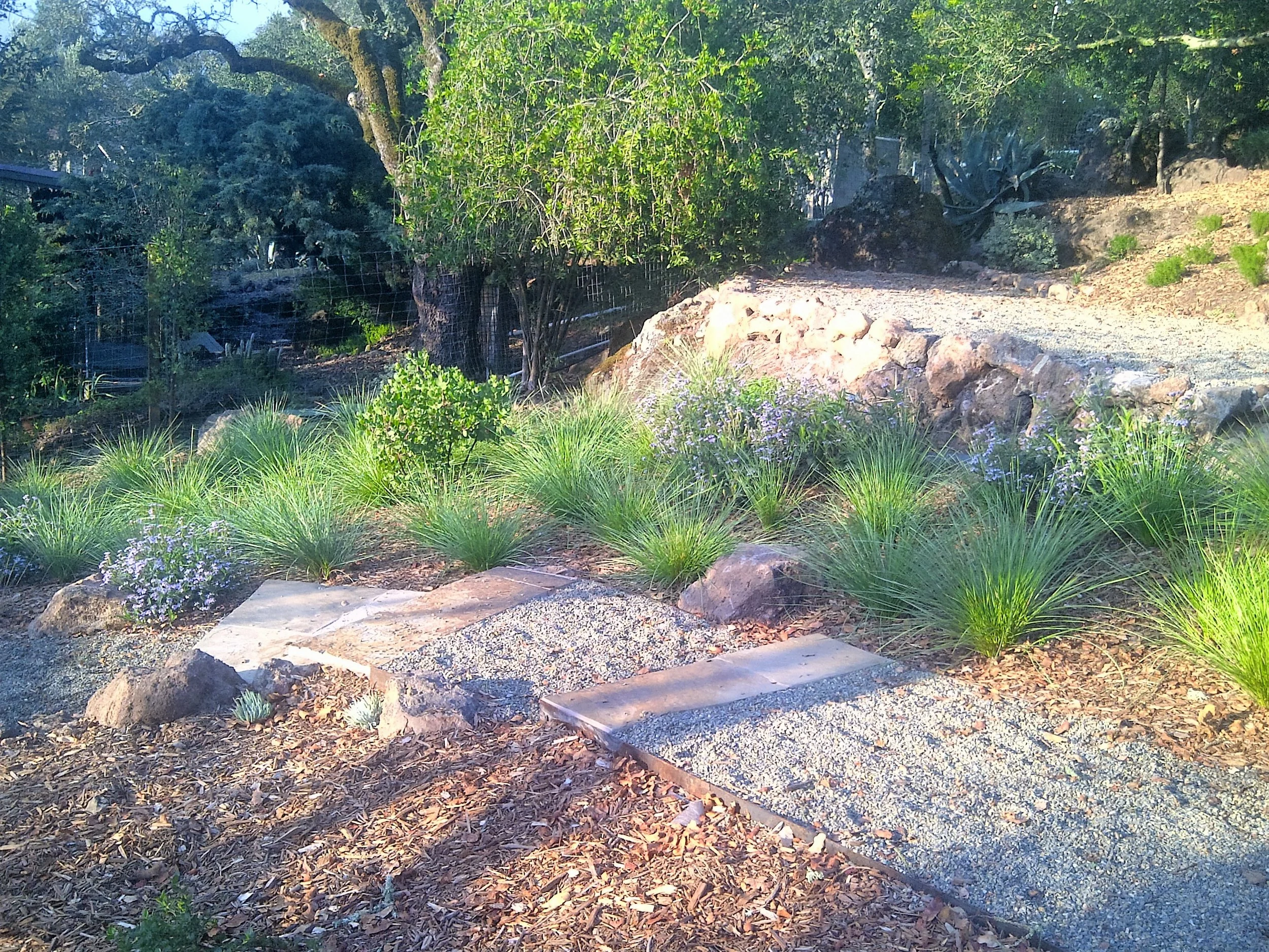Sonoma-20111025-00144.jpg