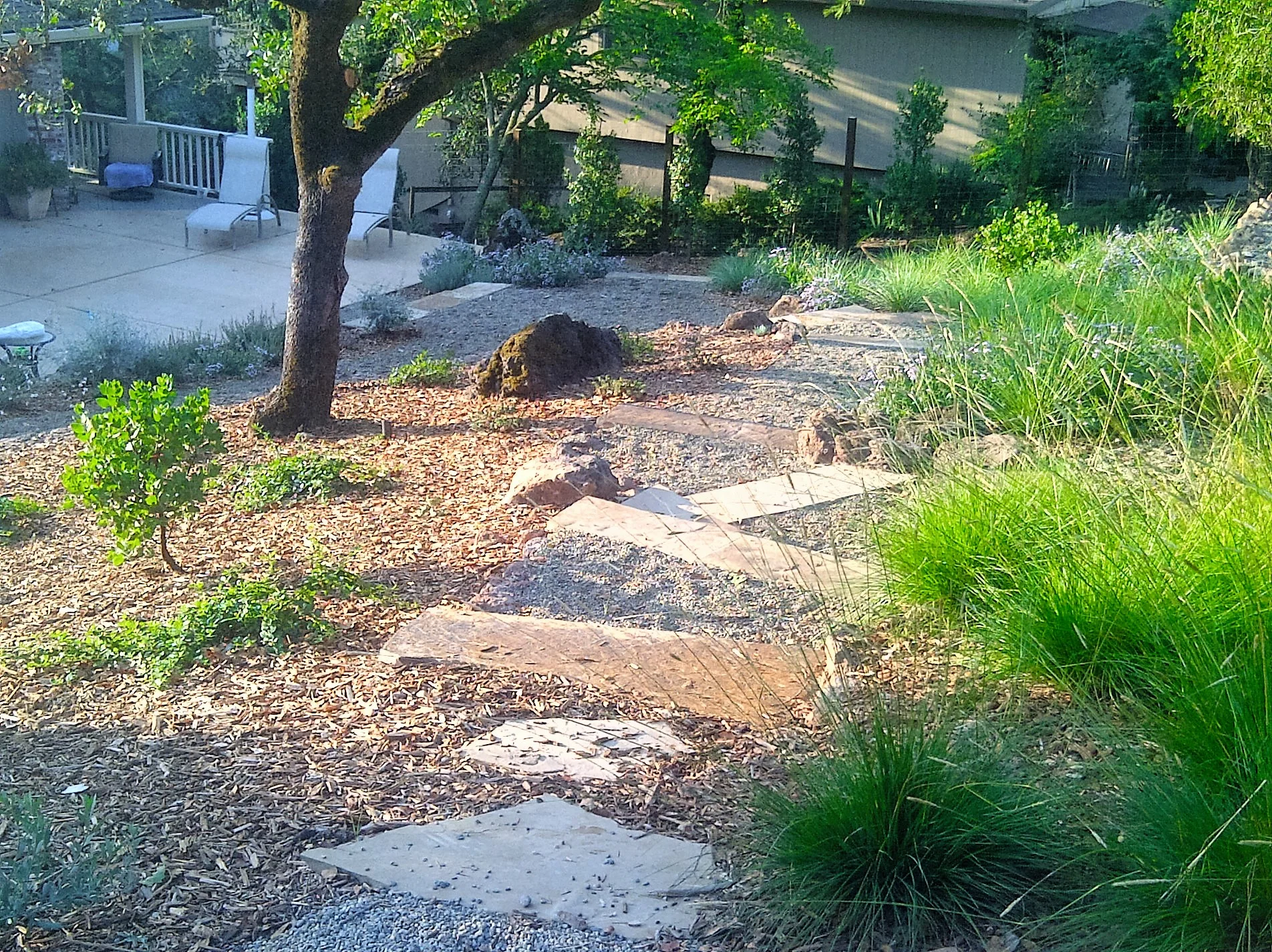 Sonoma-20111025-00151.jpg