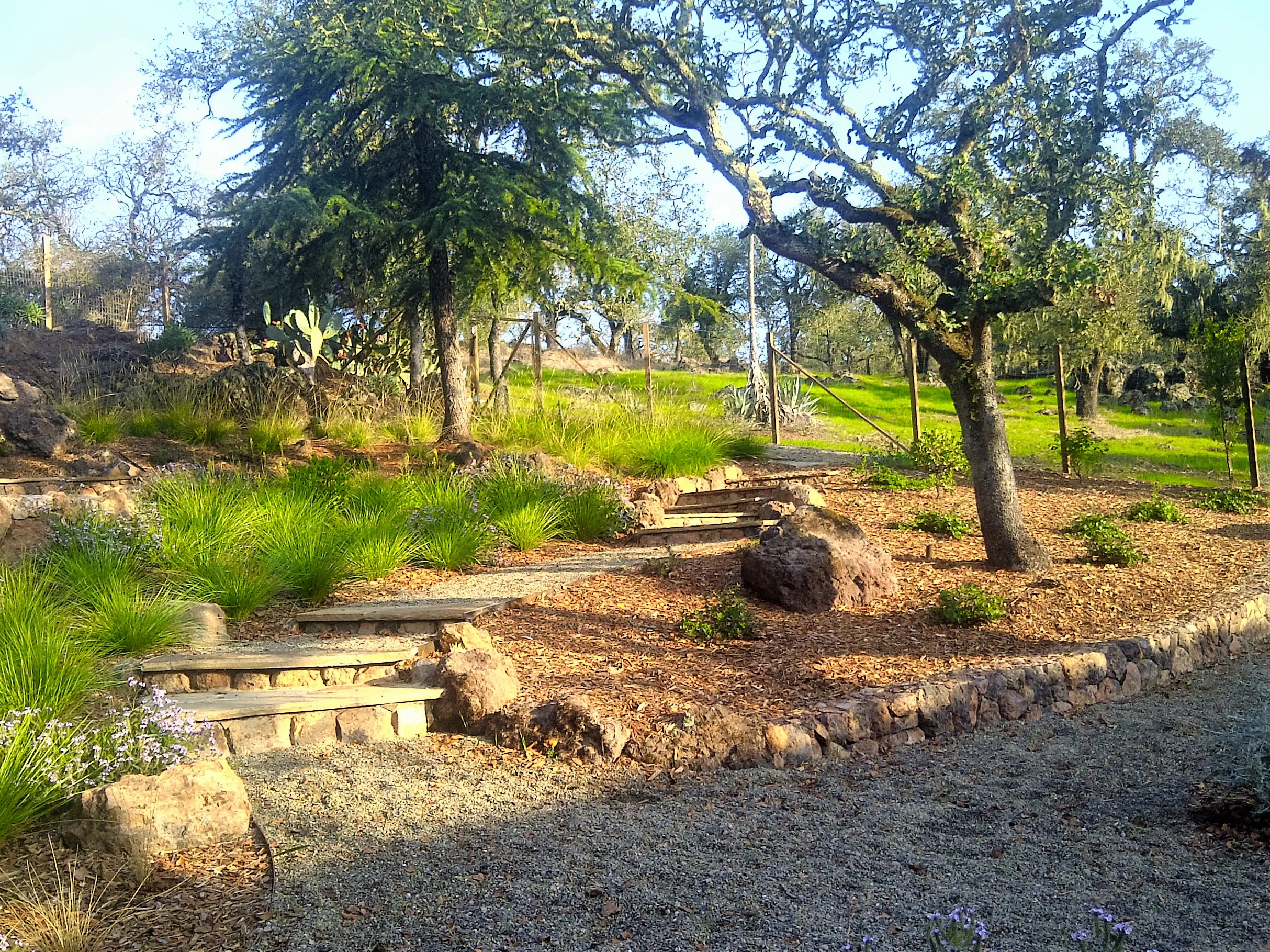 Sonoma-20111025-00157.jpg