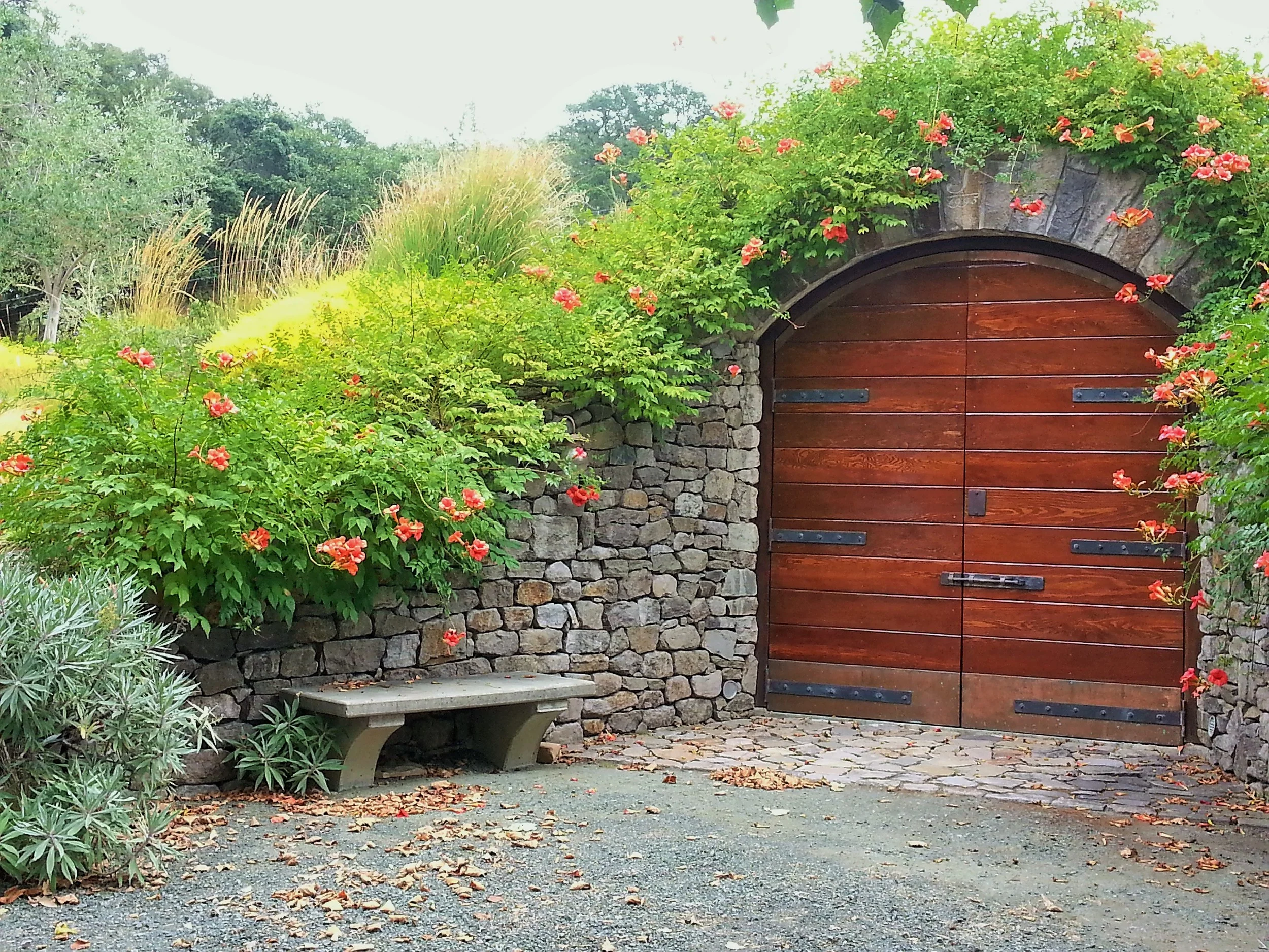 wine cellar 2.jpg