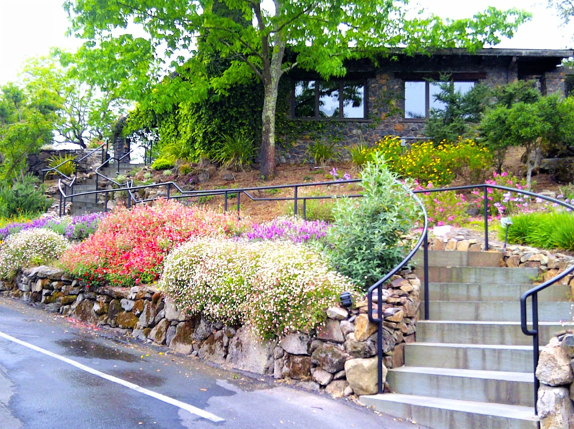 bluestone steps landspace design.jpg