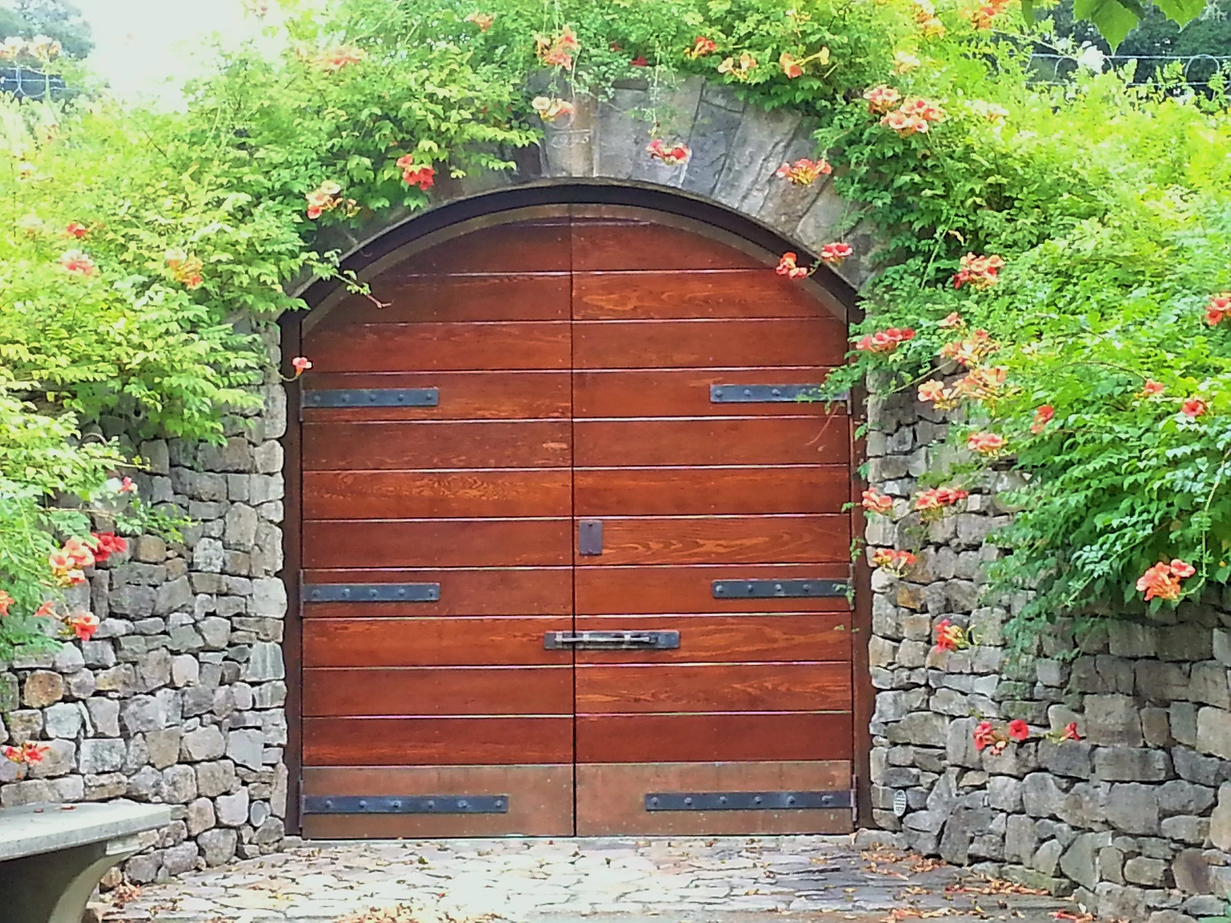 wine cellar.jpg