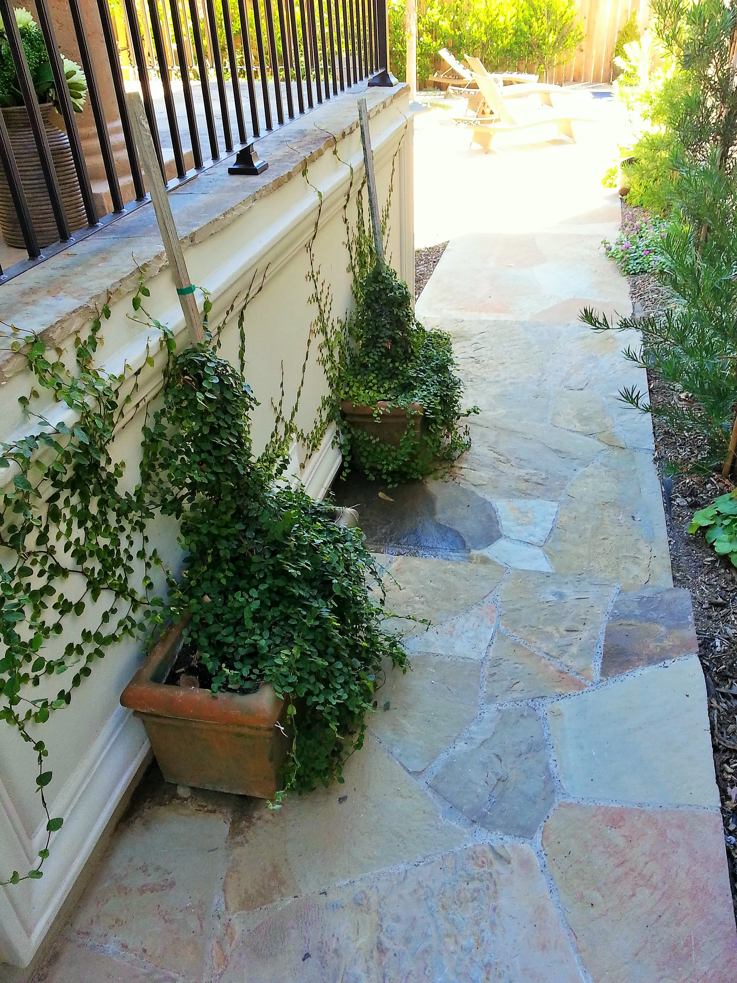 Flagstone Path.jpg