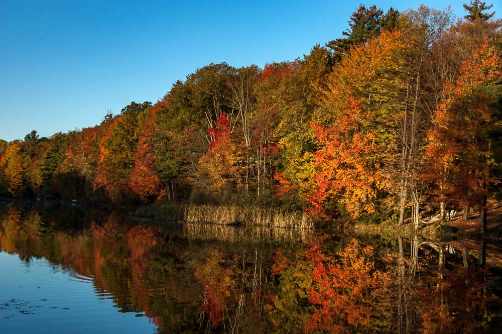 Vermont Lake AM