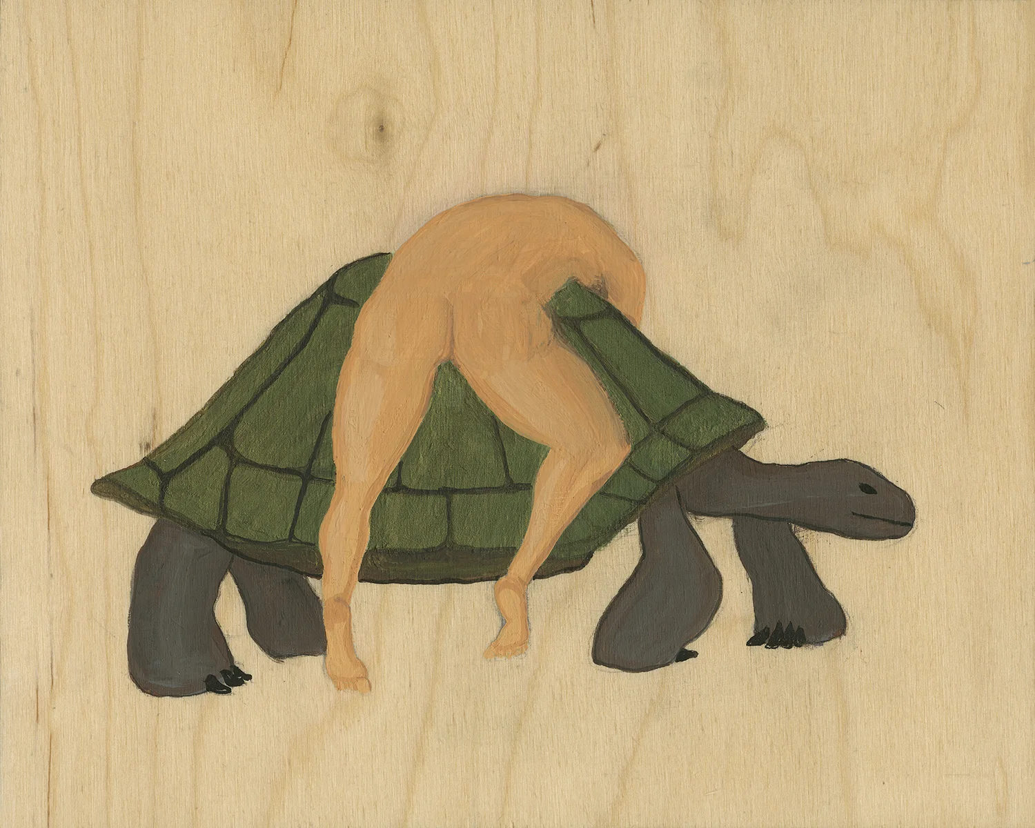 Tortoise #2