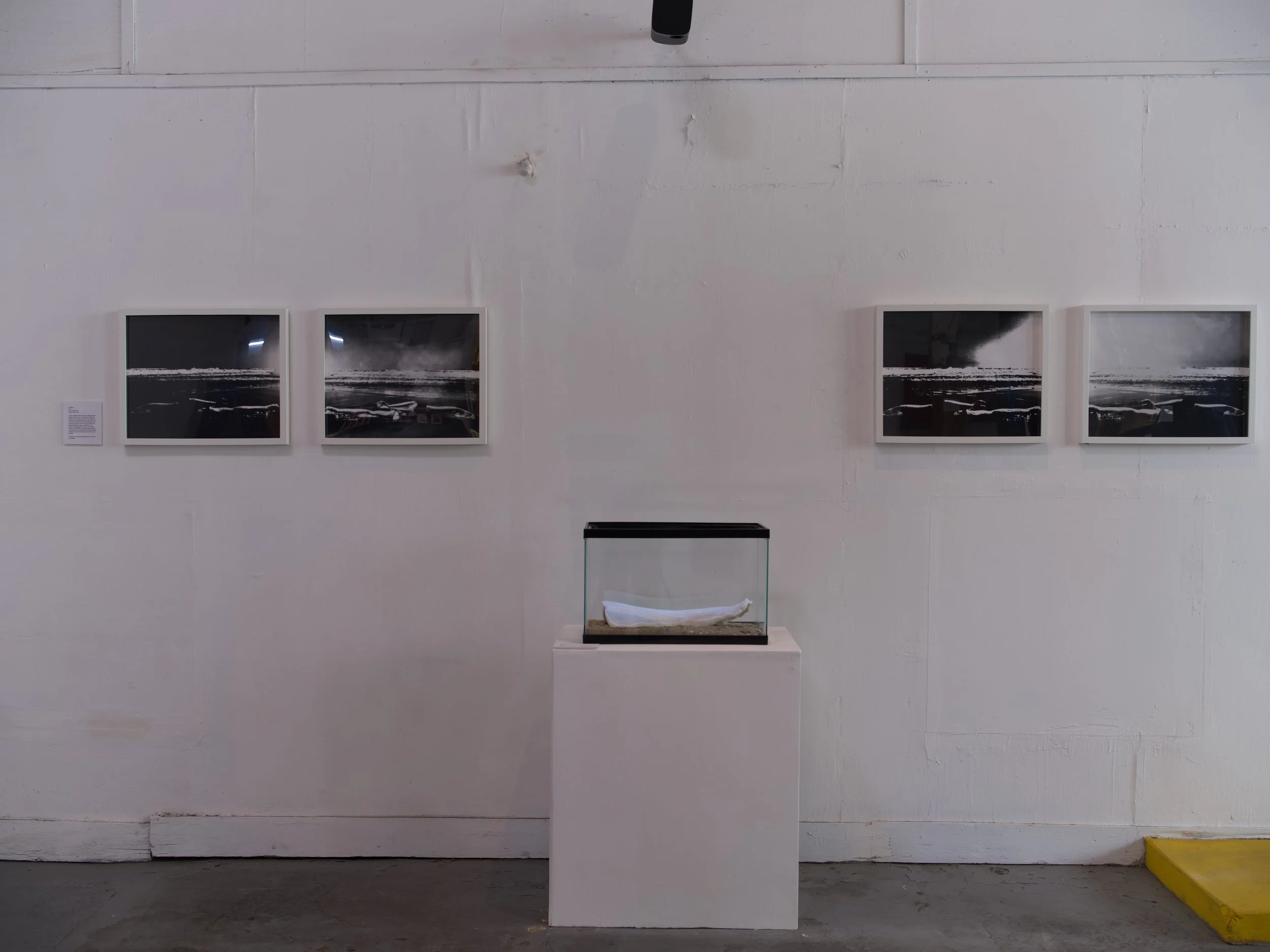Installation view of At a Loss (2025) and On the Night Tide (2025)