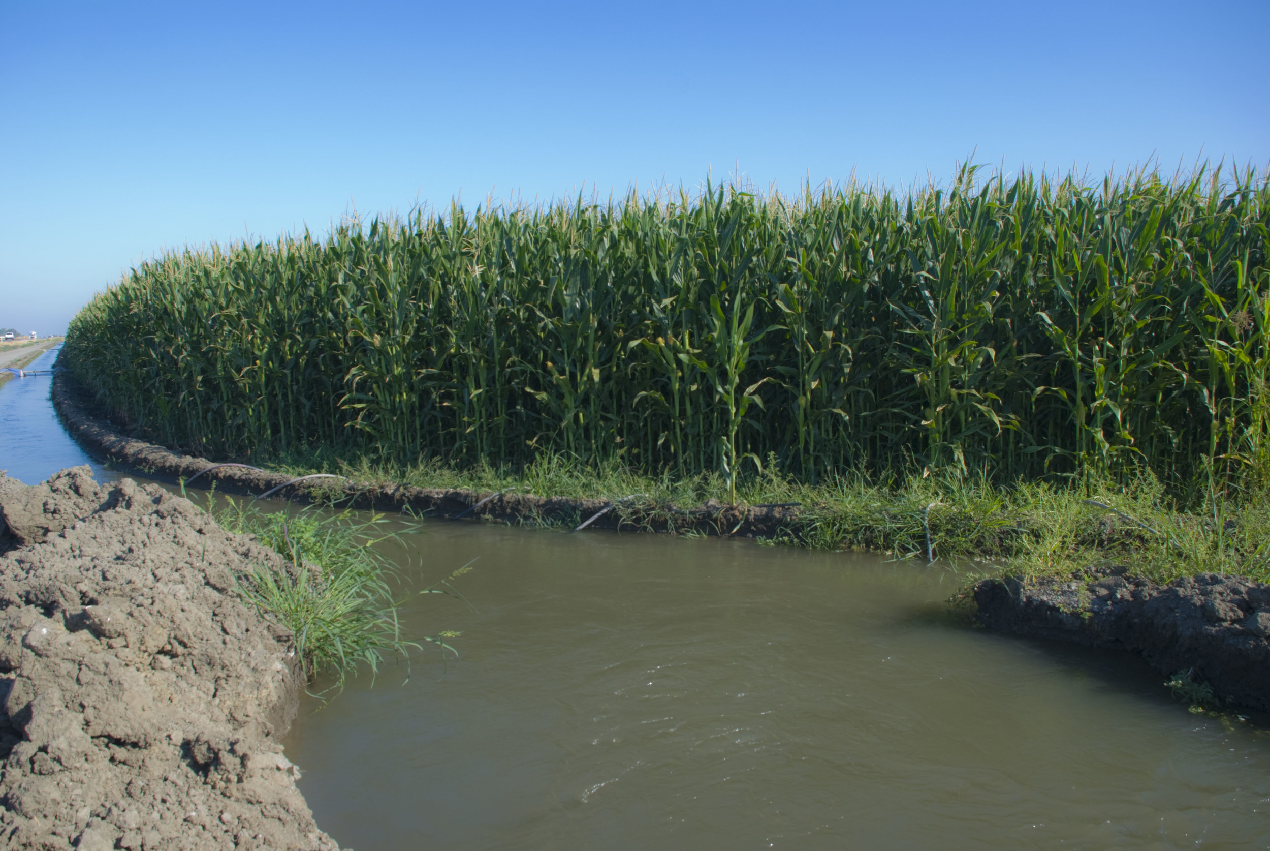 Untouched Central Valley Landscape_2.JPG